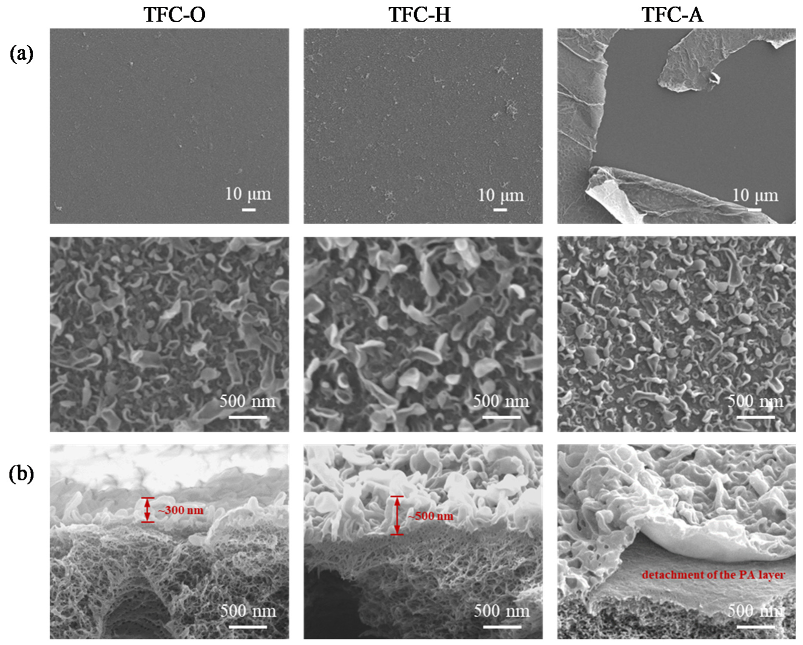 Membranes 10 00259 g004 Membranes 10 00259 g004