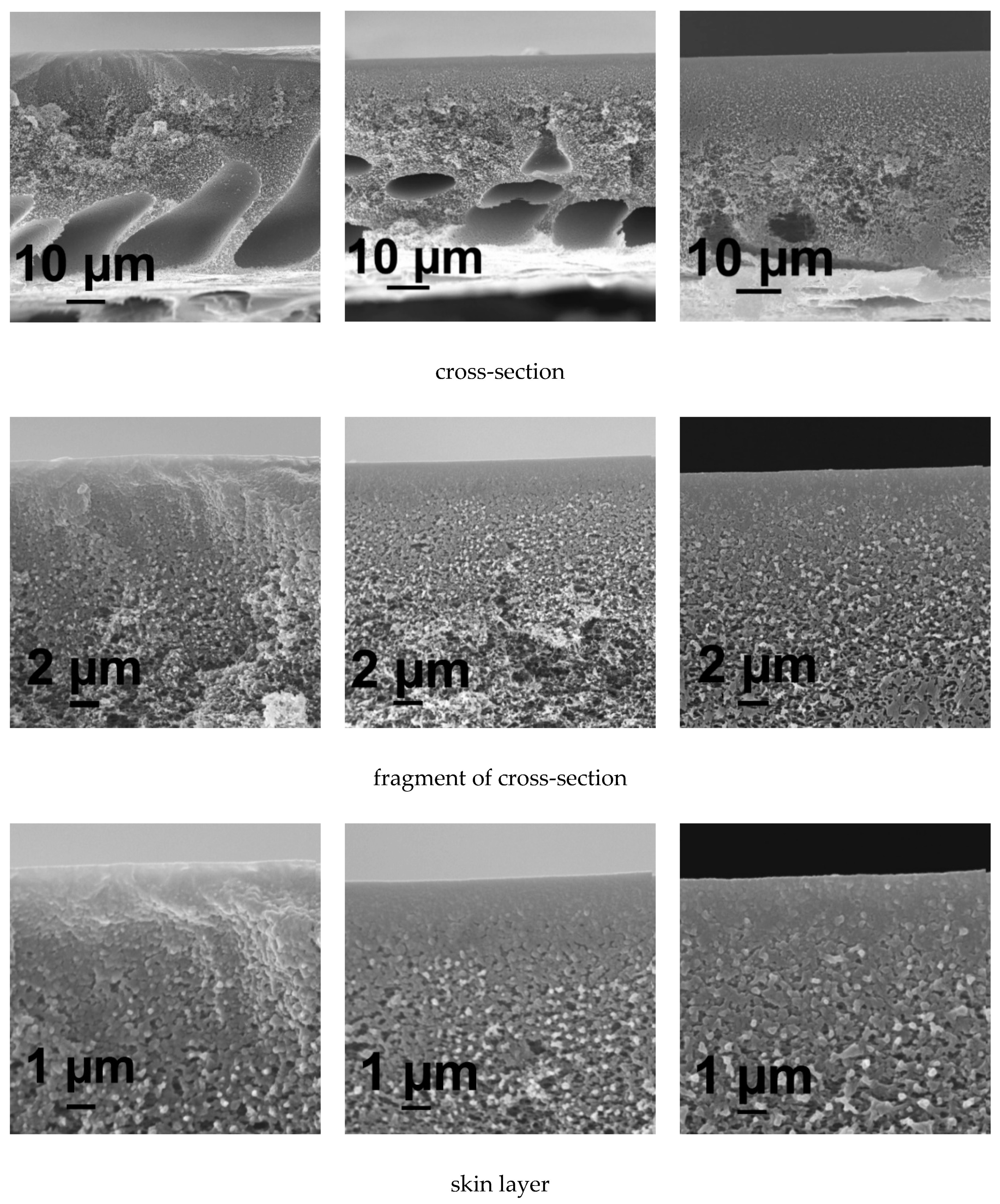 Membranes 10 00264 g005a Membranes 10 00264 g005a