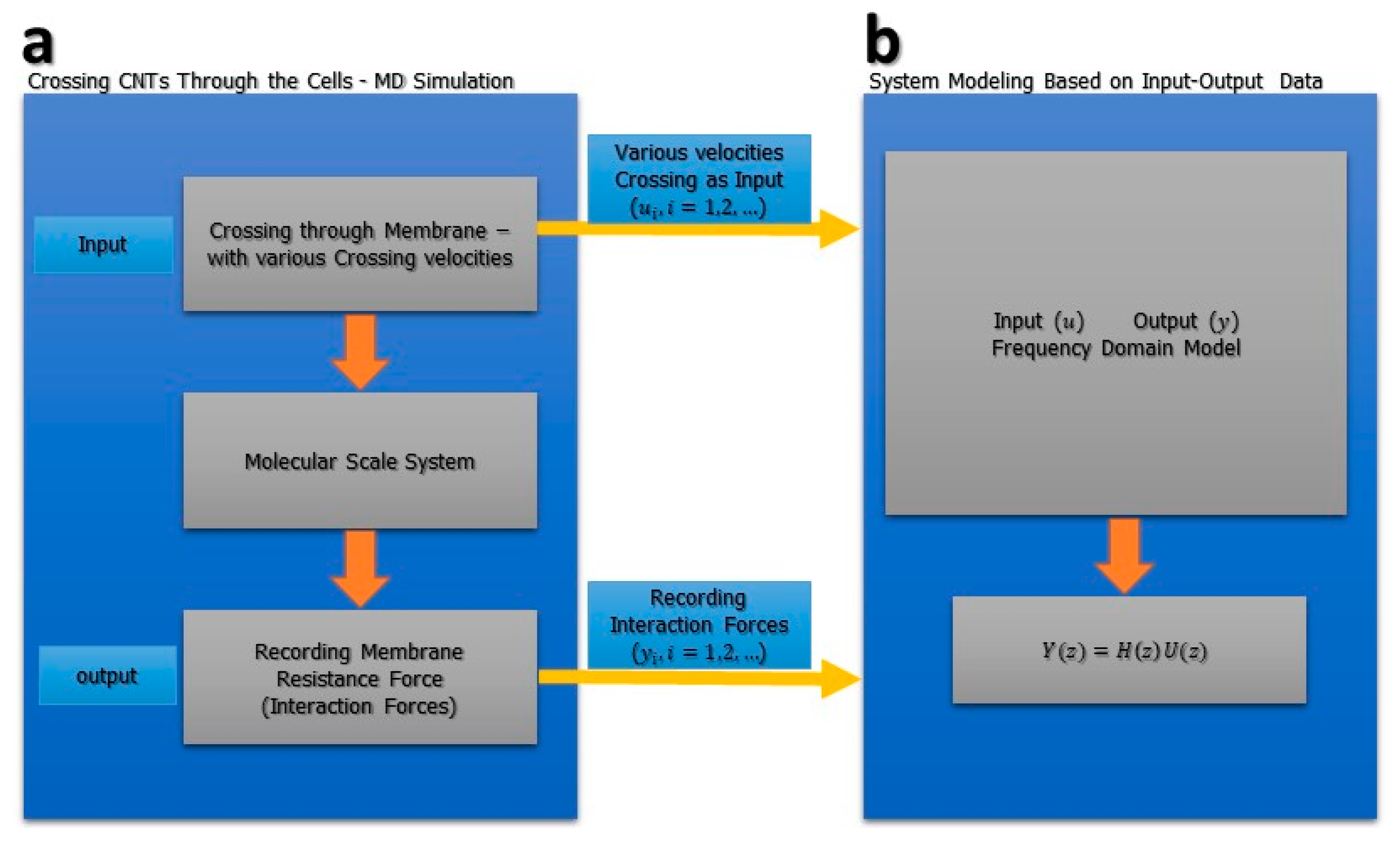 Membranes Free Full Text Analysis Of Dynamics Targeting Cnt Based Drug Delivery Through Lung Cancer Cells Design Simulation And Computational Approach Html