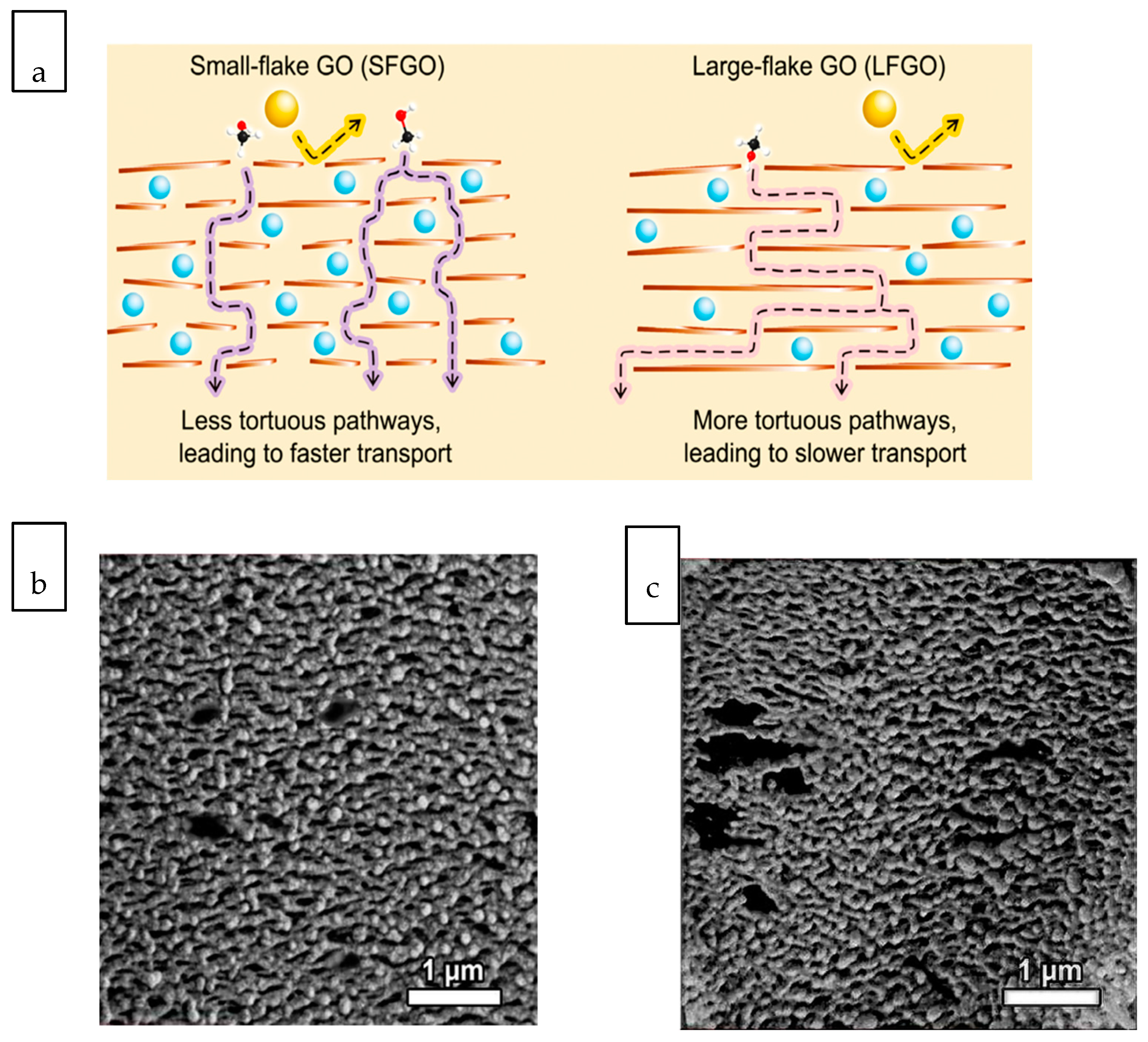 Membranes 10 00297 g004 Membranes 10 00297 g004