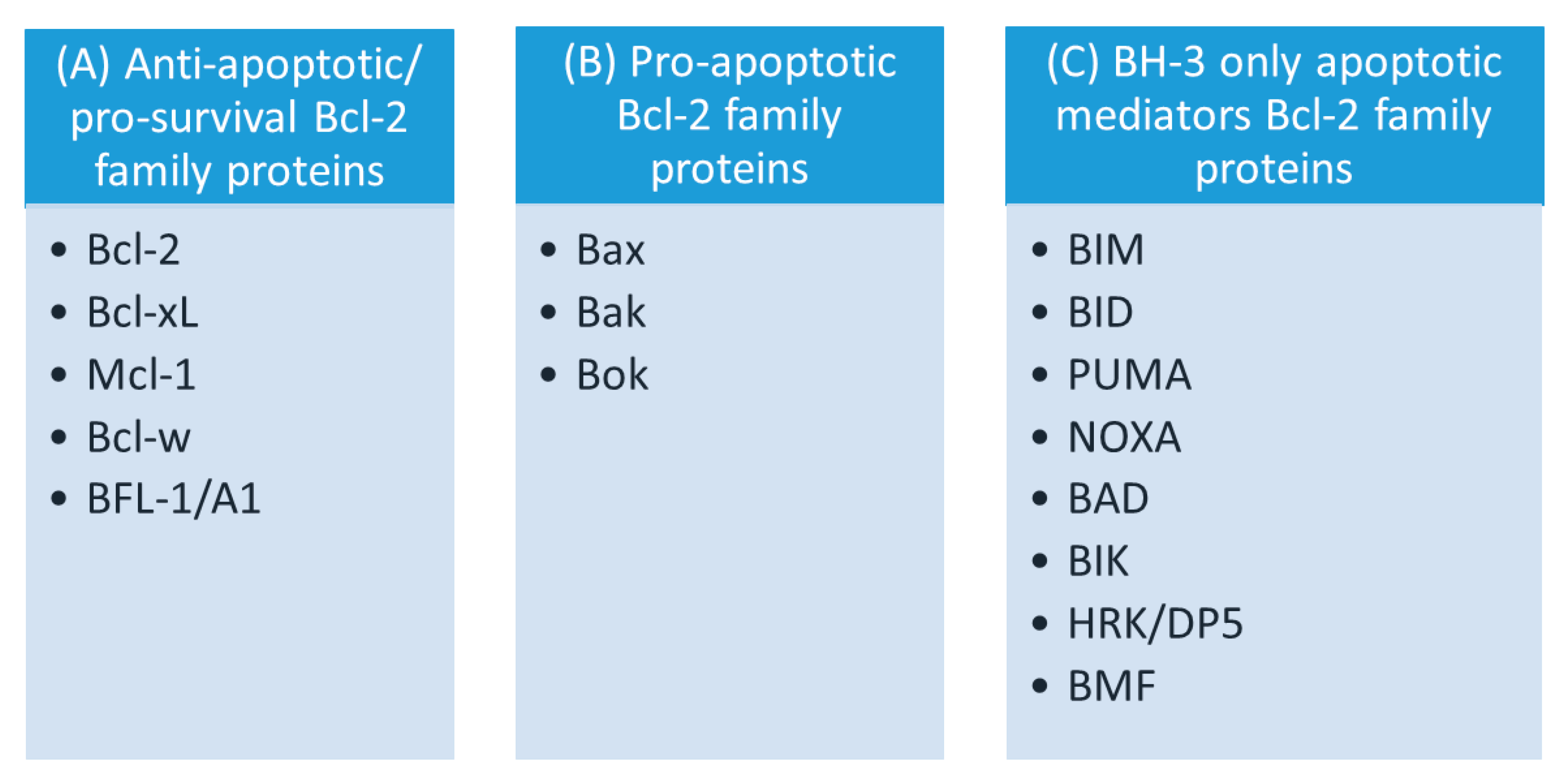 Membranes 10 00299 g002 Membranes 10 00299 g002