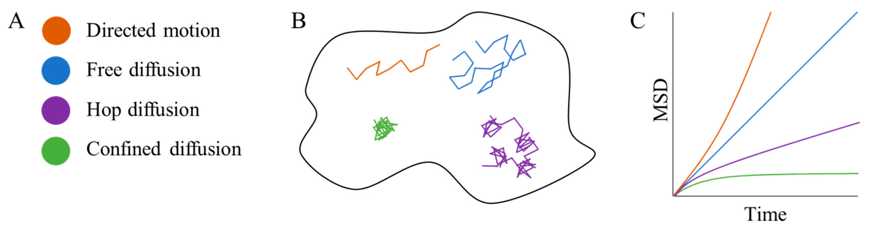 Membranes 10 00314 g002 Membranes 10 00314 g002