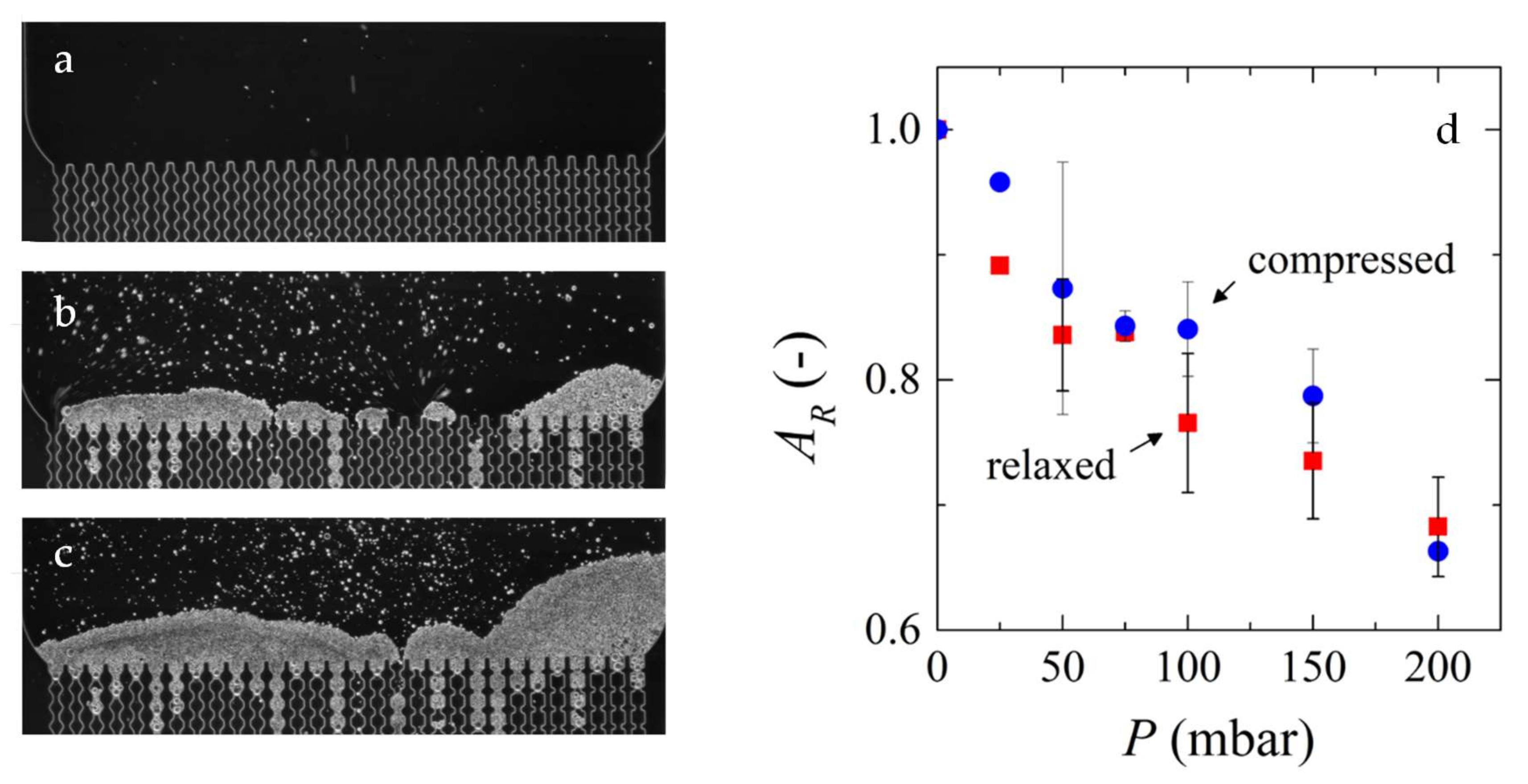 Membranes 10 00316 g005