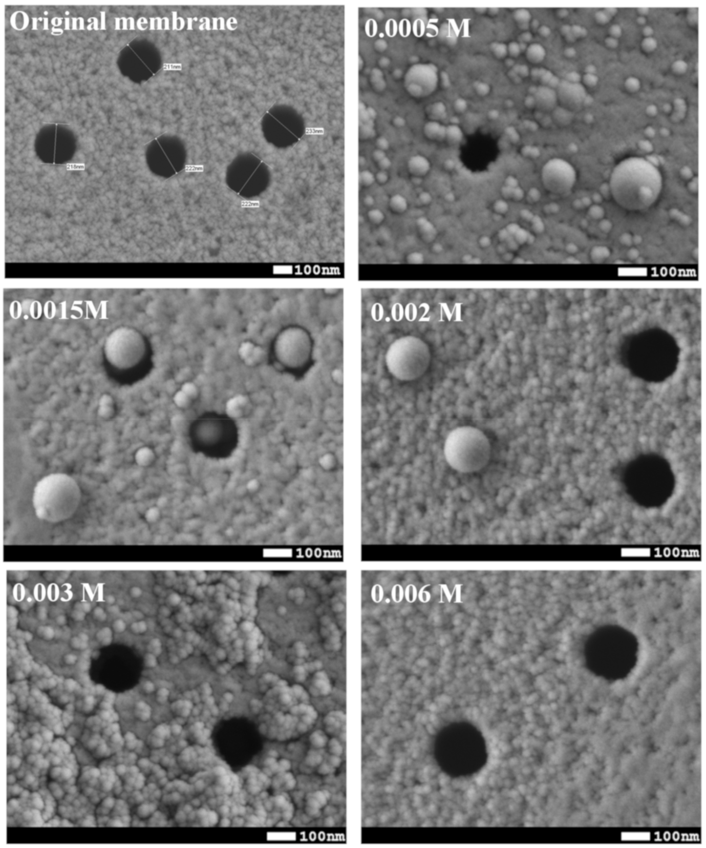 Membranes 10 00322 g003