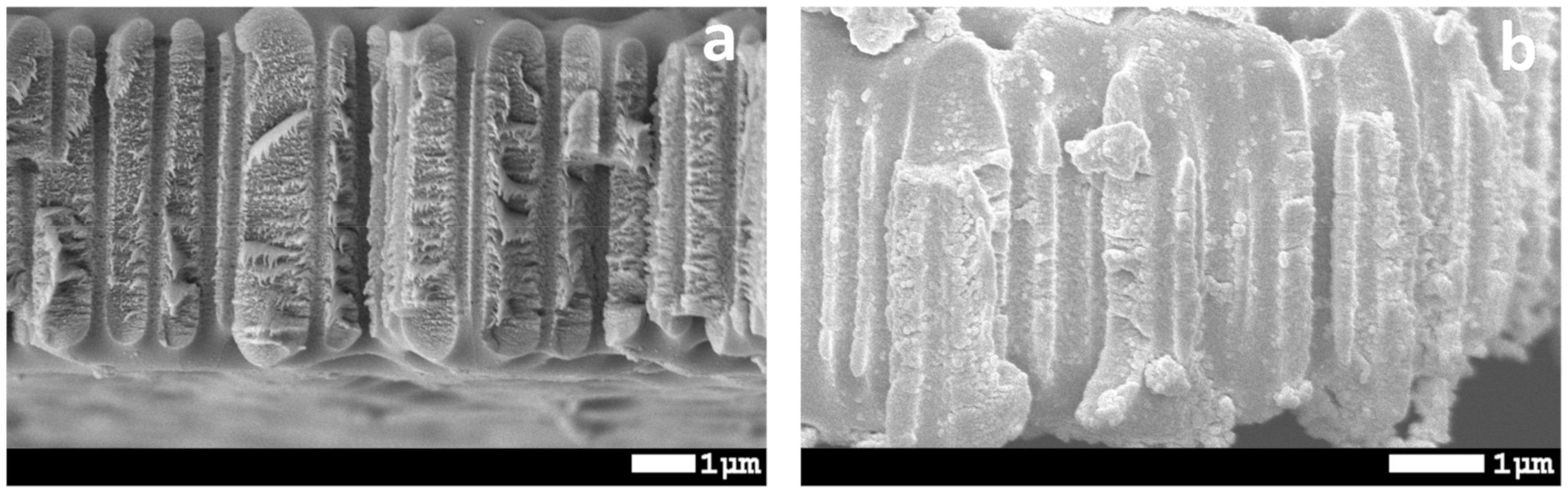 Membranes 10 00322 g009