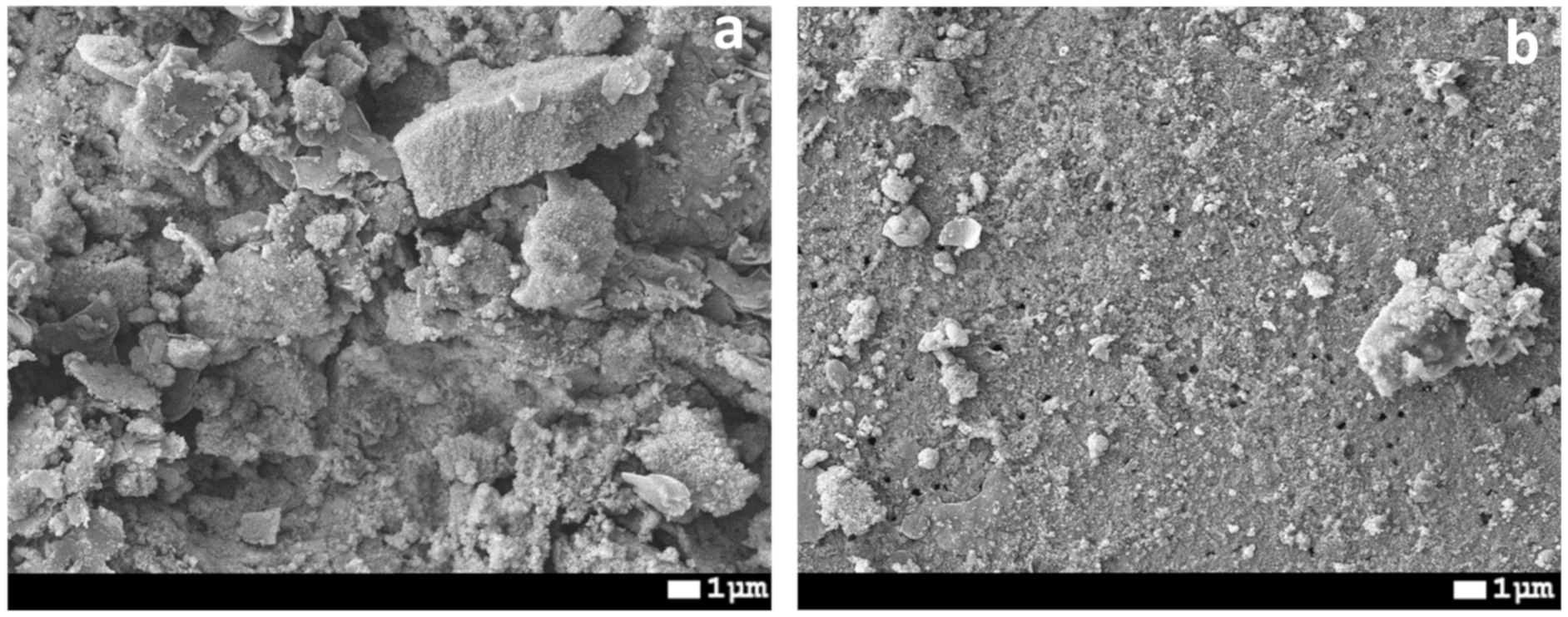 Membranes 10 00322 g011