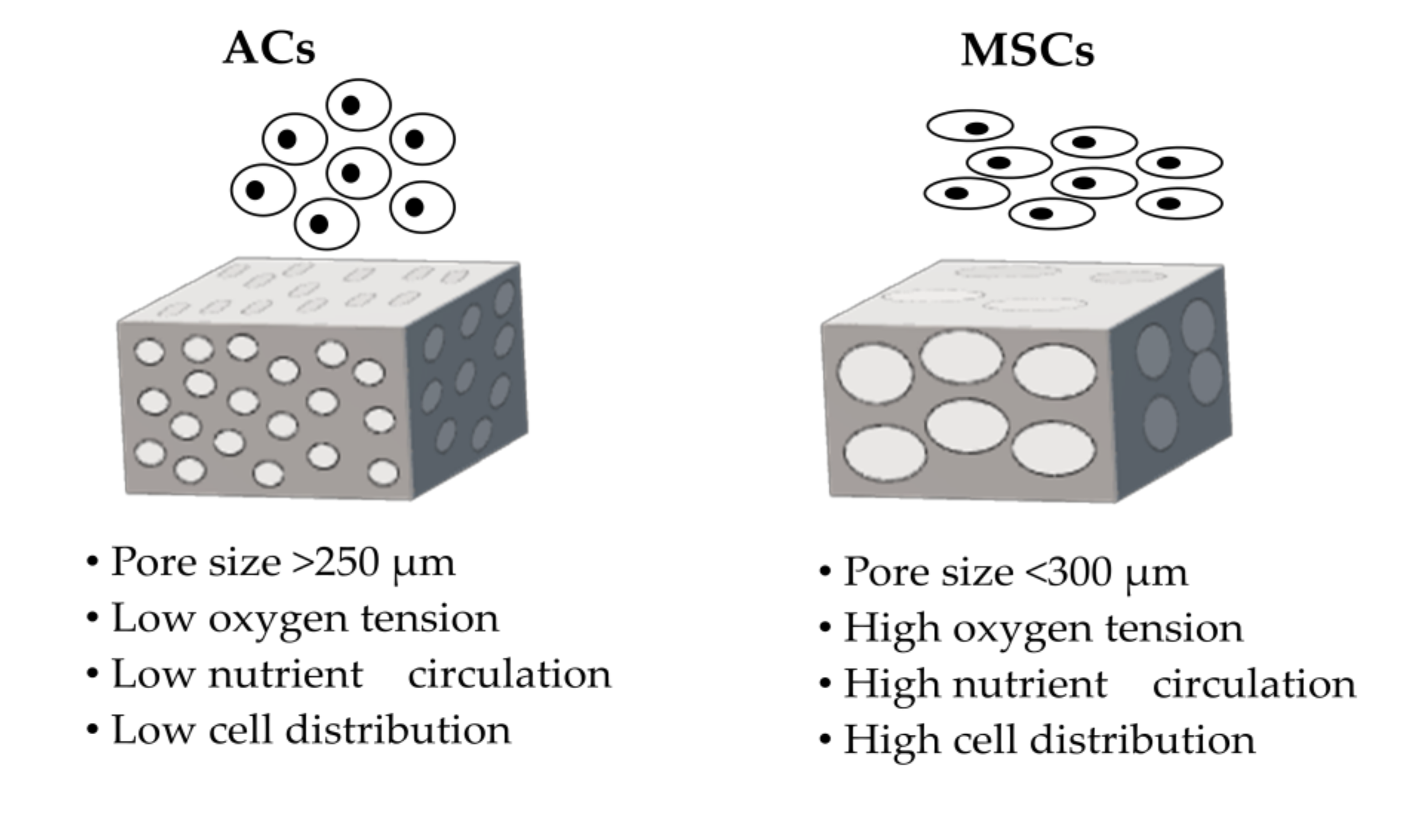 Membranes 10 00348 g003 Membranes 10 00348 g003
