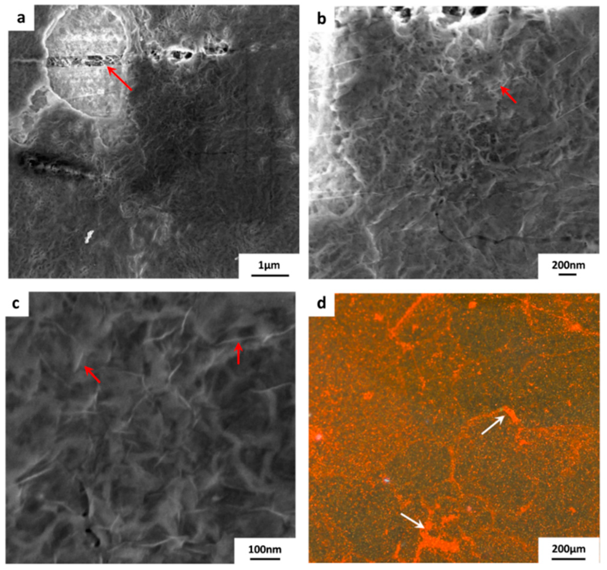 Membranes 10 00358 g009 Membranes 10 00358 g009