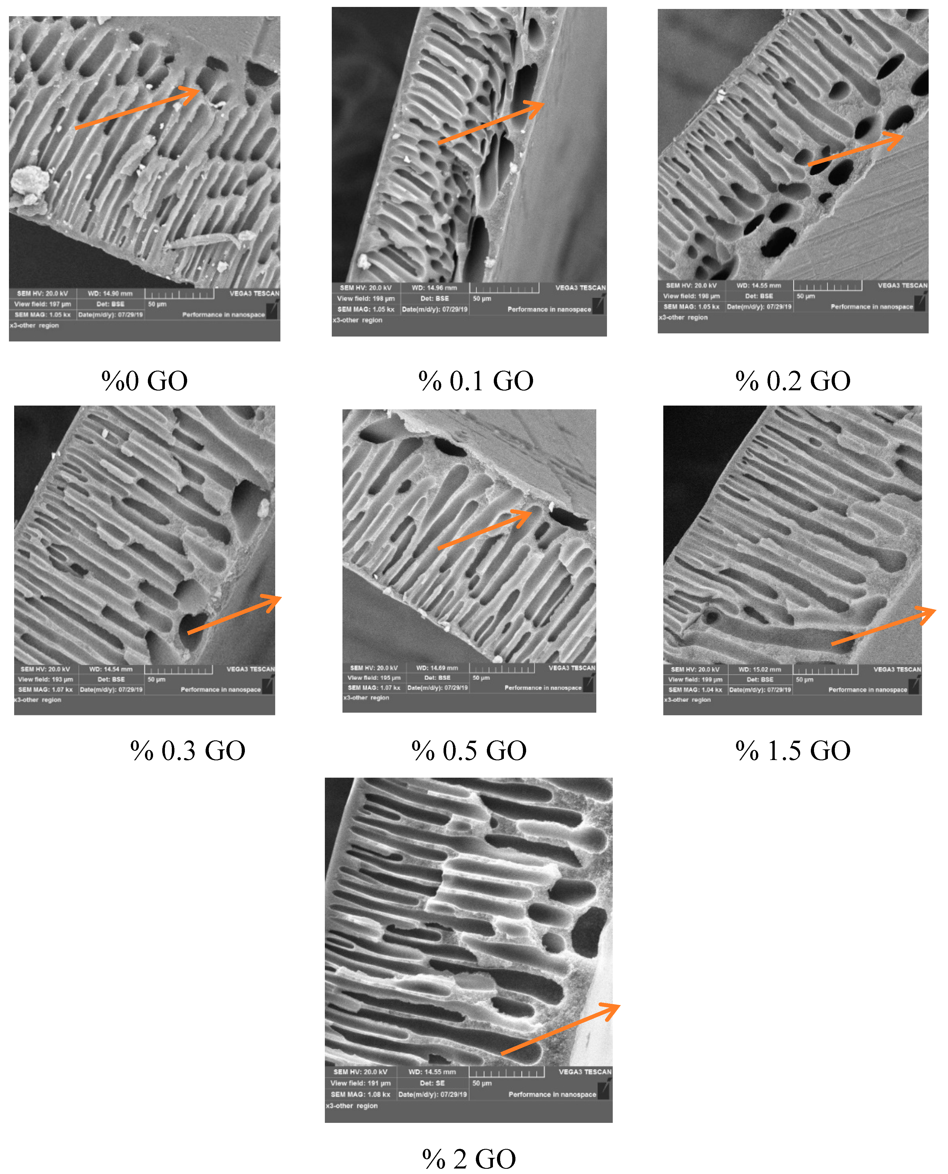 Membranes 10 00366 g003 Membranes 10 00366 g003