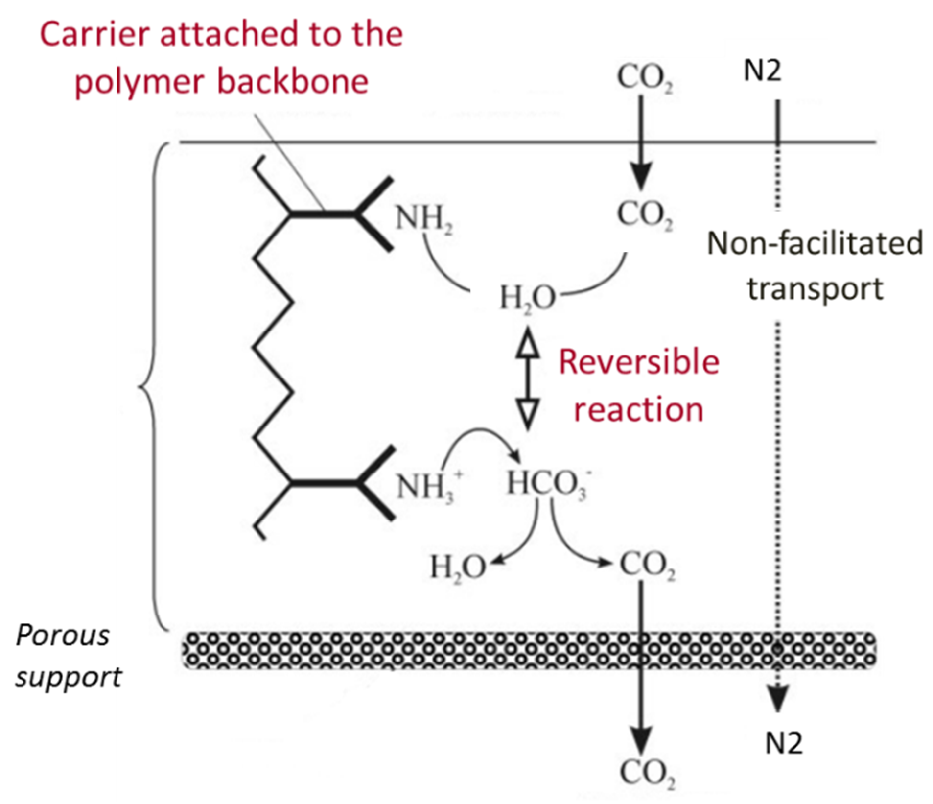 Membranes 10 00367 g002