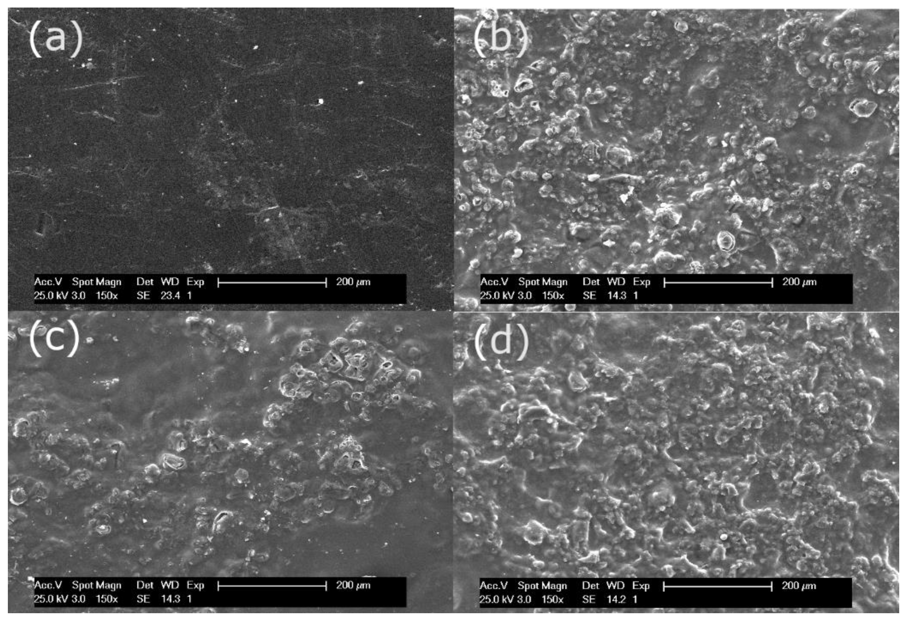 Membranes 10 00377 g002