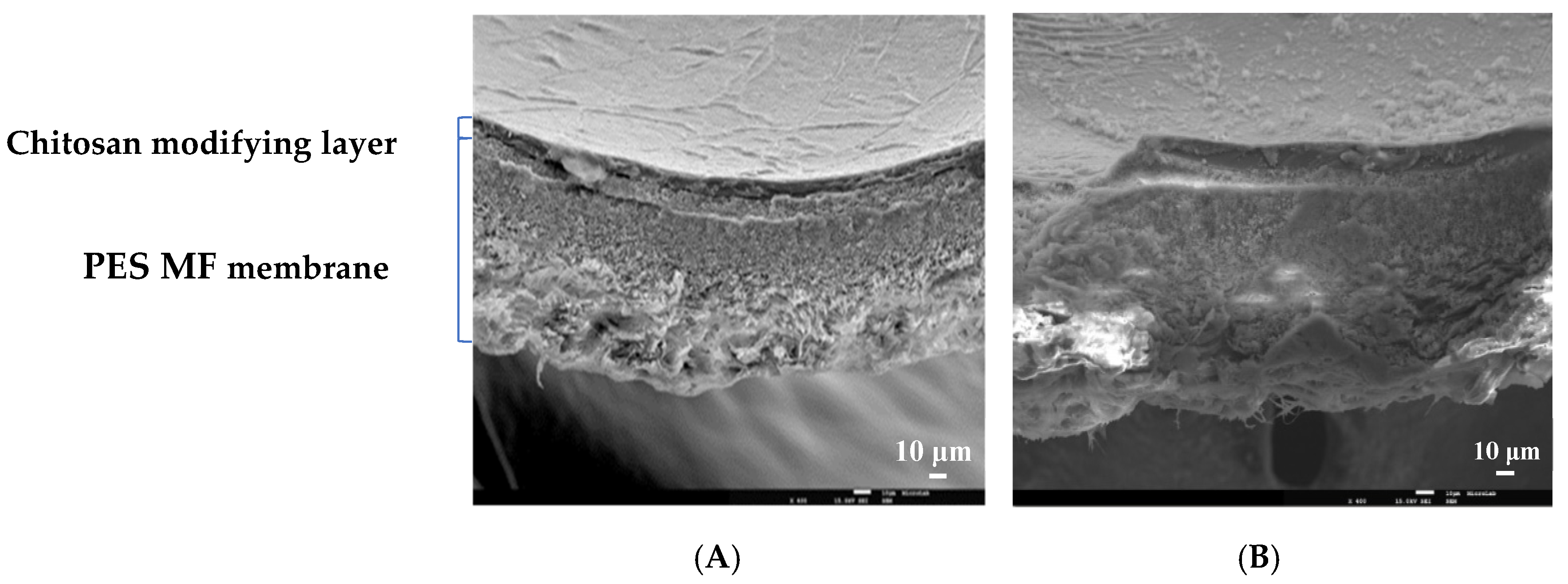 Membranes 10 00378 g009