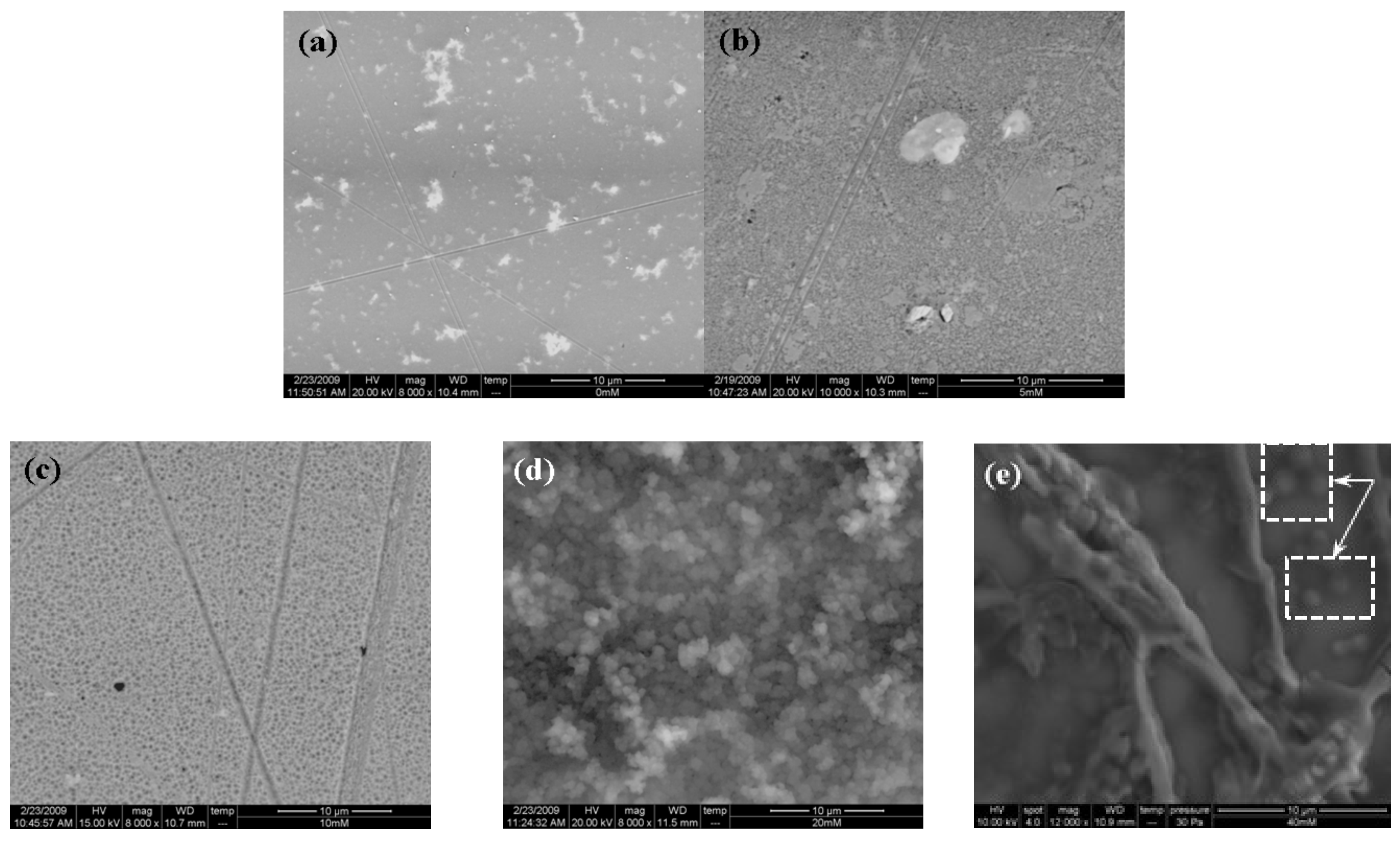 Membranes 10 00387 g008