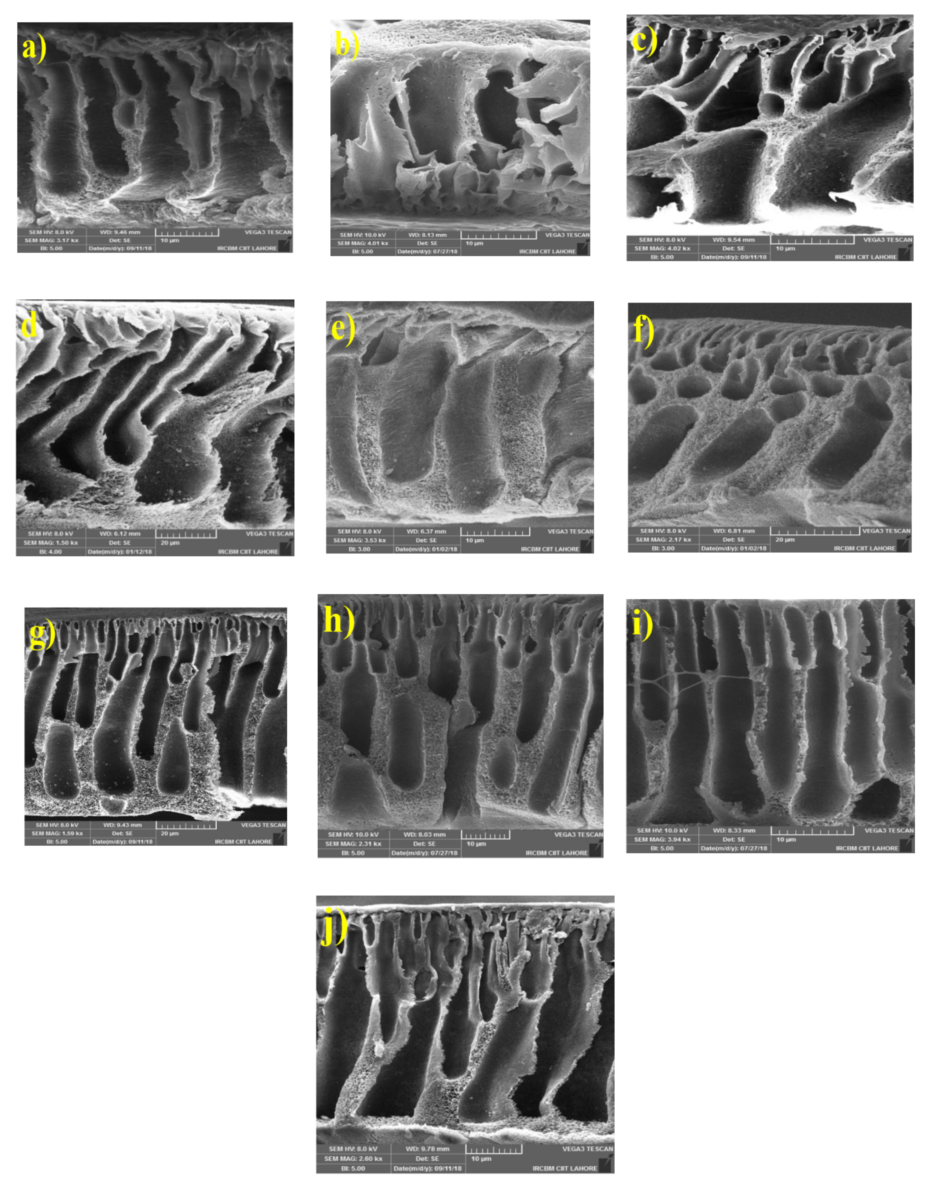 Membranes 10 00393 g002