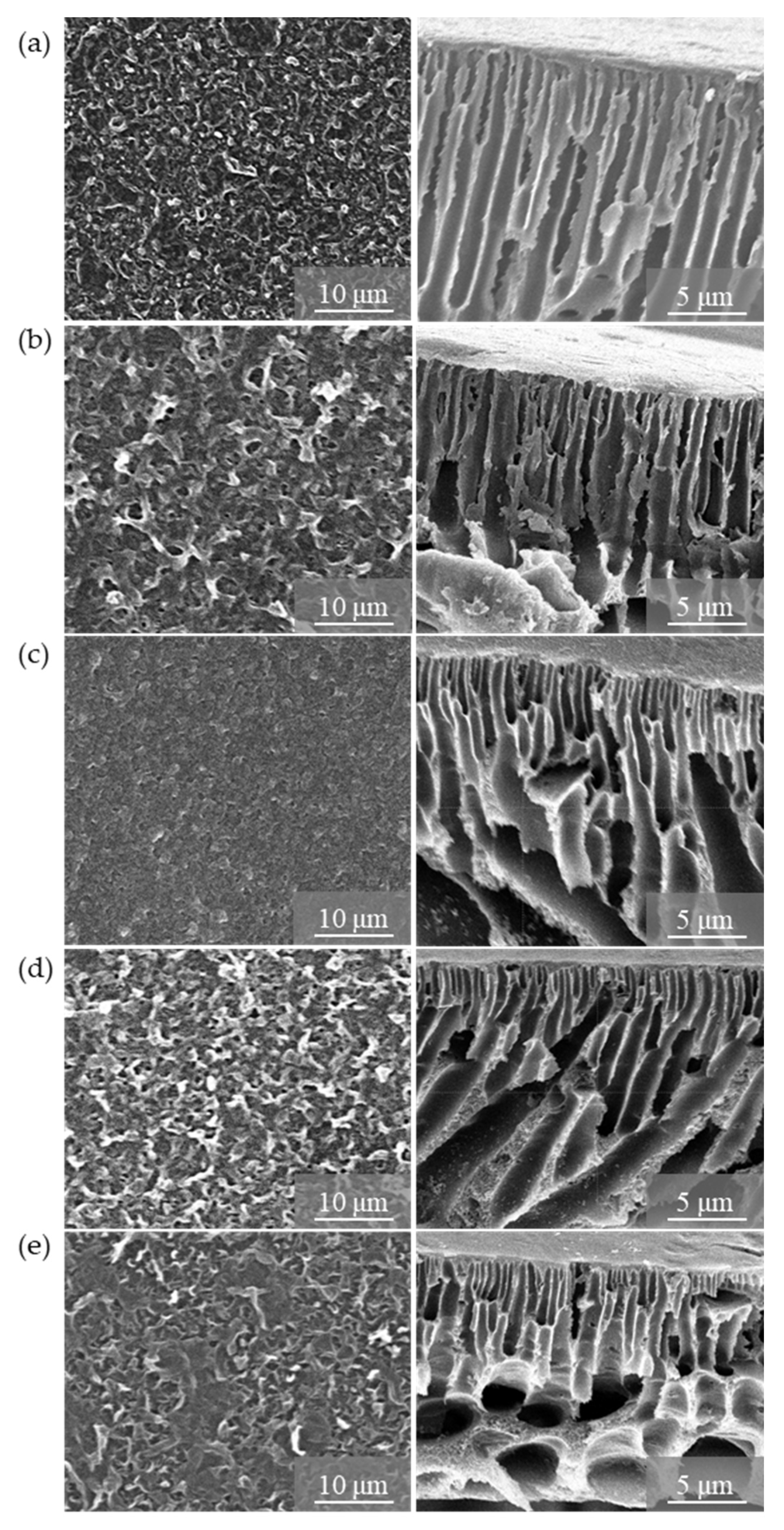 Membranes 10 00416 g006 Membranes 10 00416 g006
