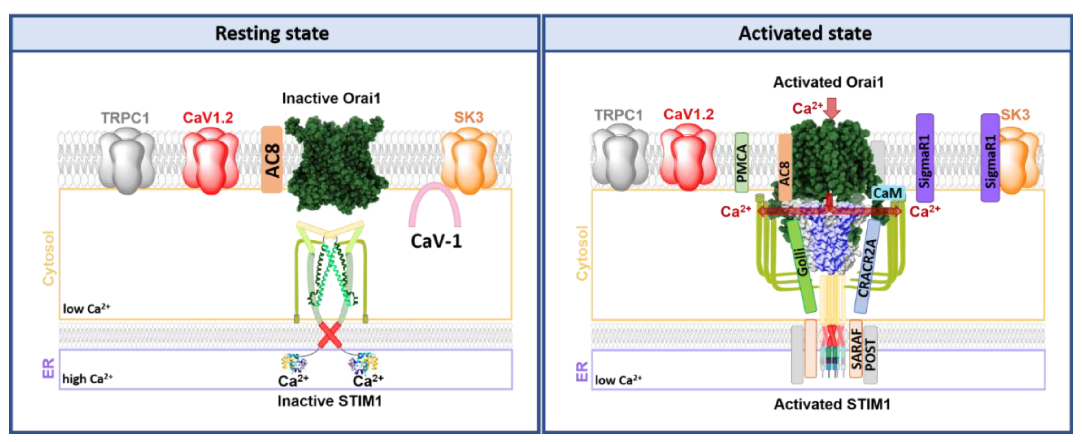 Membranes 10 00425 g008 Membranes 10 00425 g008