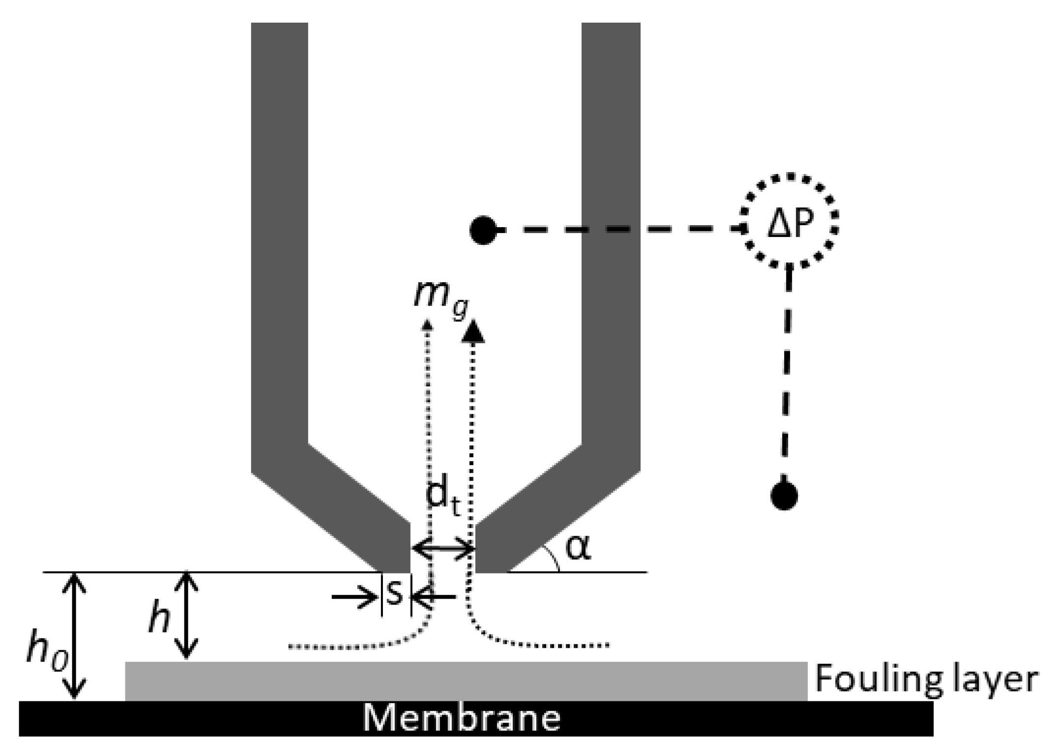 Membranes 11 00028 g002