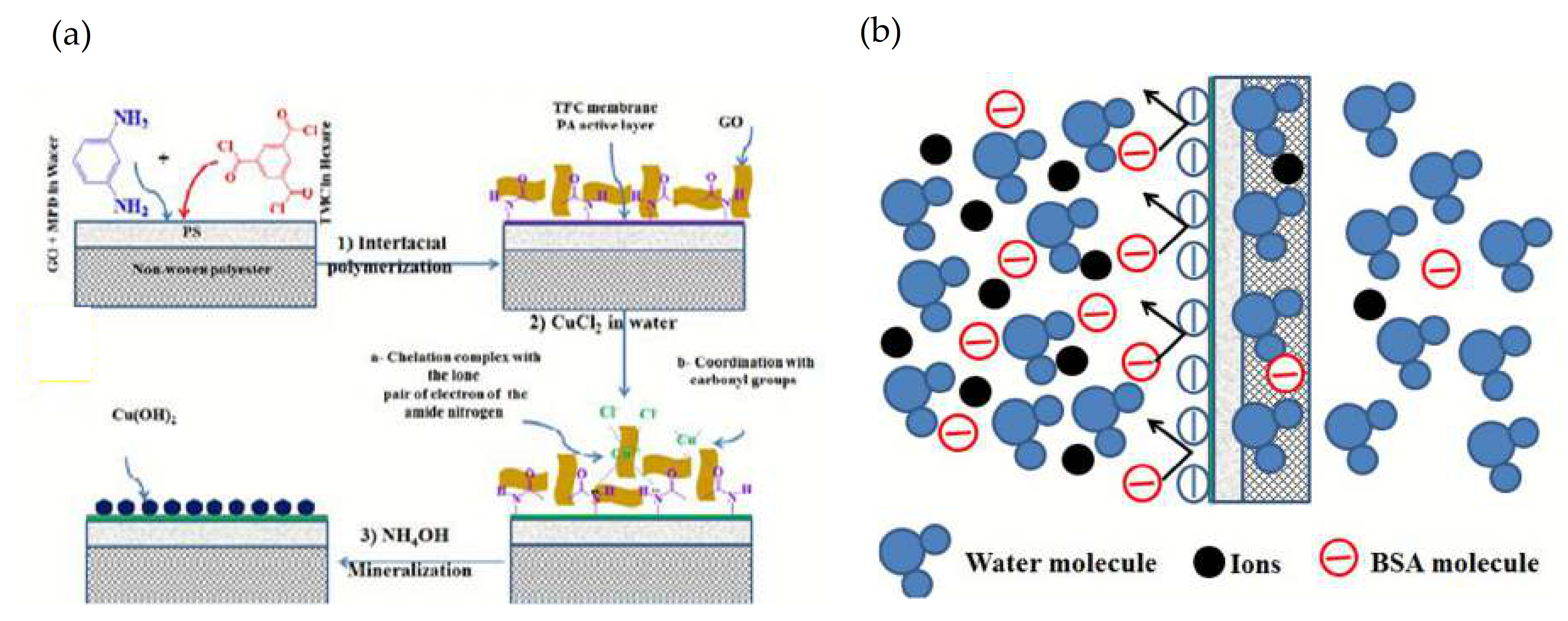 Membranes Free Full Text Copper Modified Polymeric Membranes For Water Treatment A Comprehensive Review Html