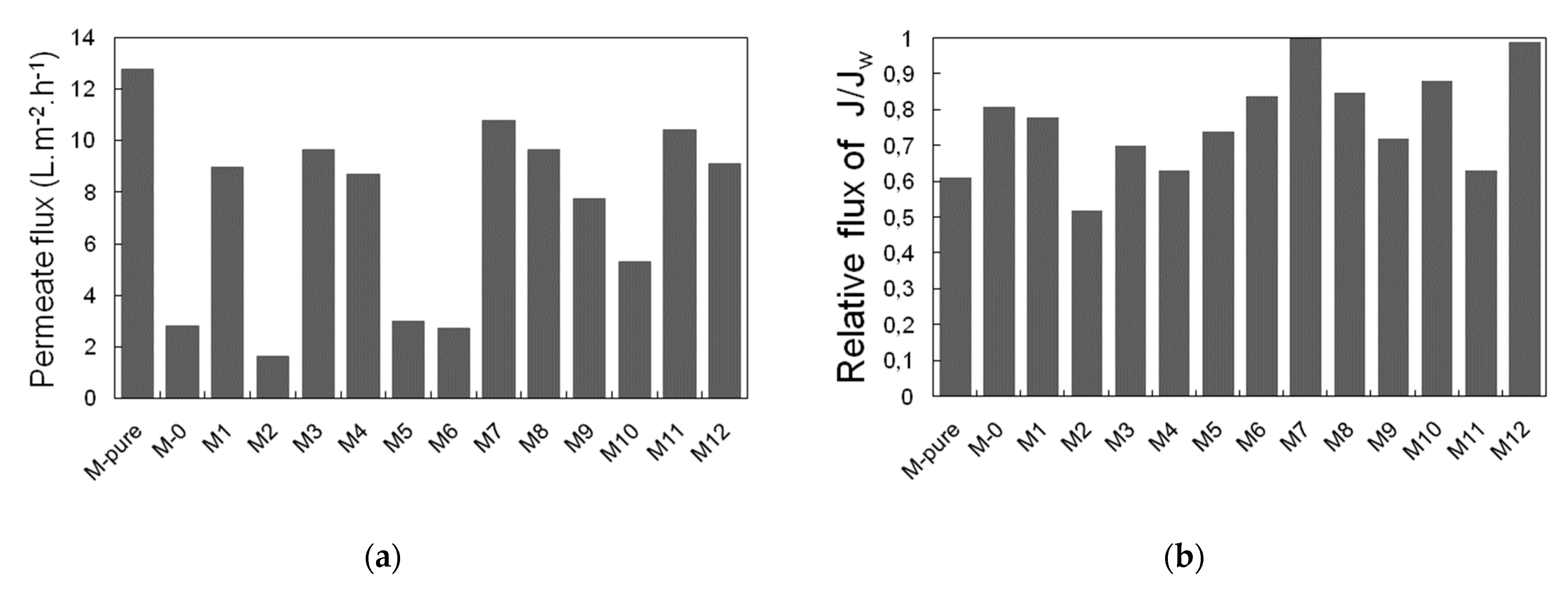 Membranes 11 00095 g009