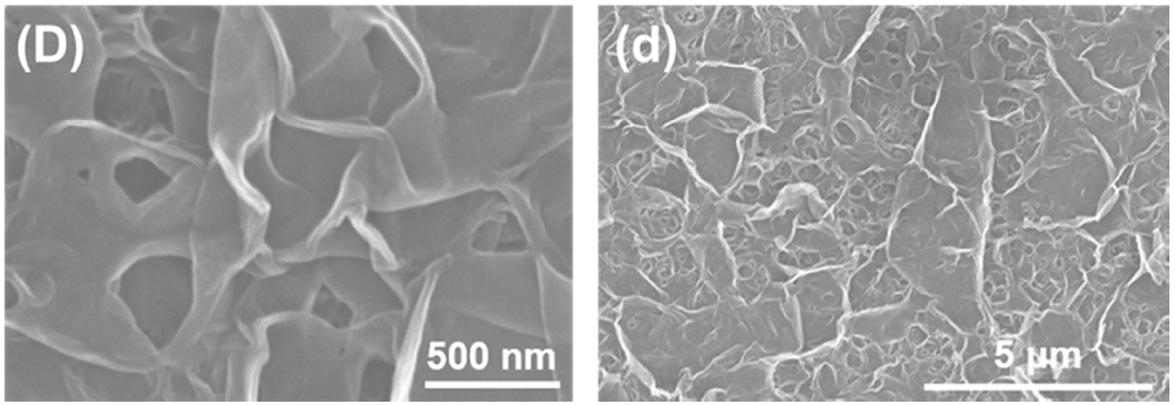 Membranes 11 00142 g001d