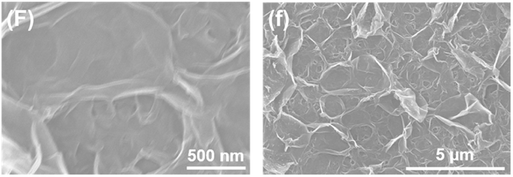 Membranes 11 00142 g001f