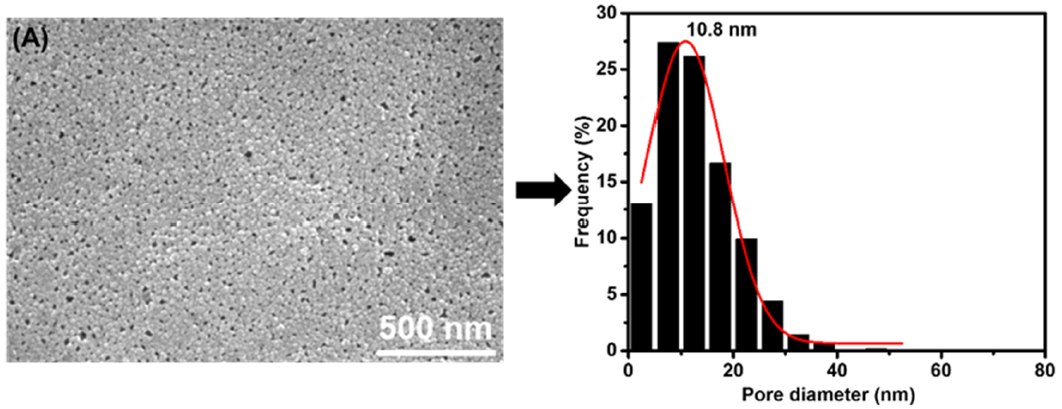 Membranes 11 00142 g003a