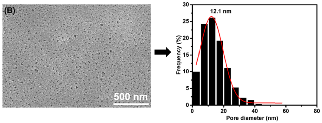Membranes 11 00142 g003b