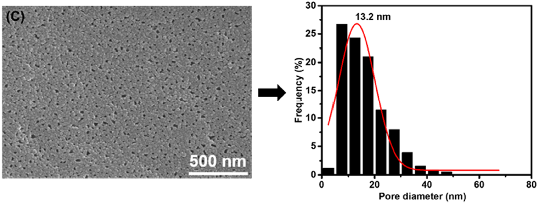 Membranes 11 00142 g003c