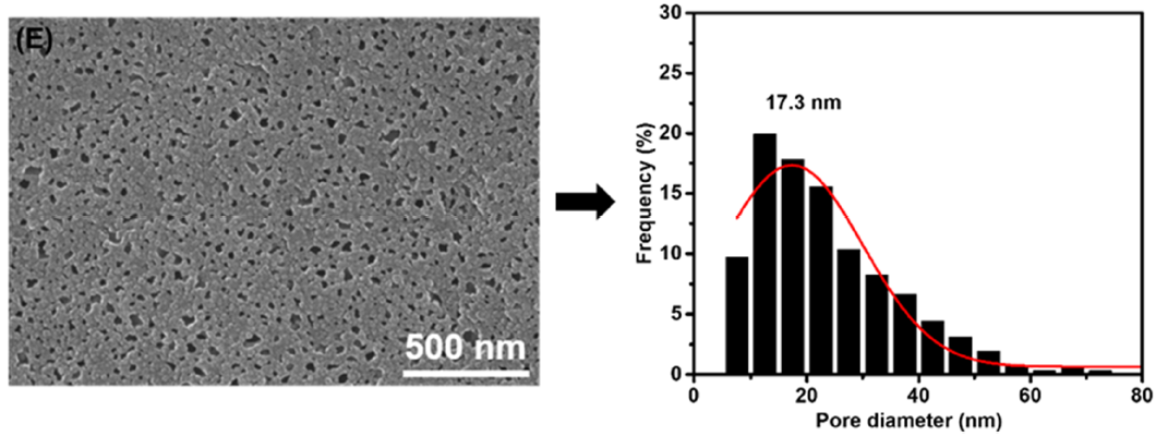 Membranes 11 00142 g003e