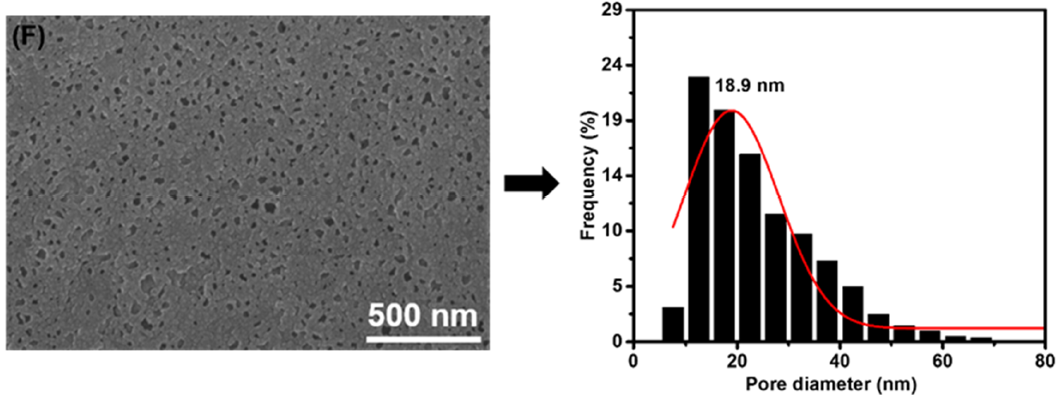 Membranes 11 00142 g003f