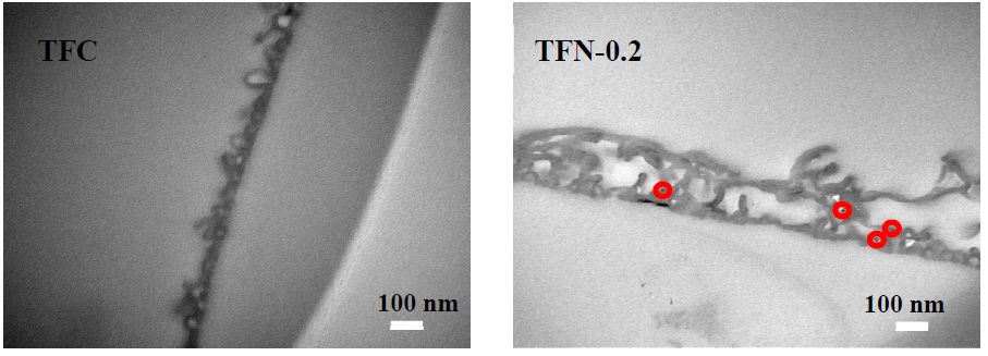 Membranes 11 00142 g004