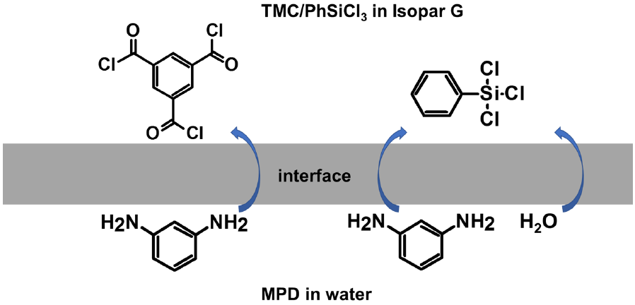 Membranes 11 00142 sch001