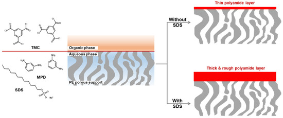 Membranes 11 00184 g003 550