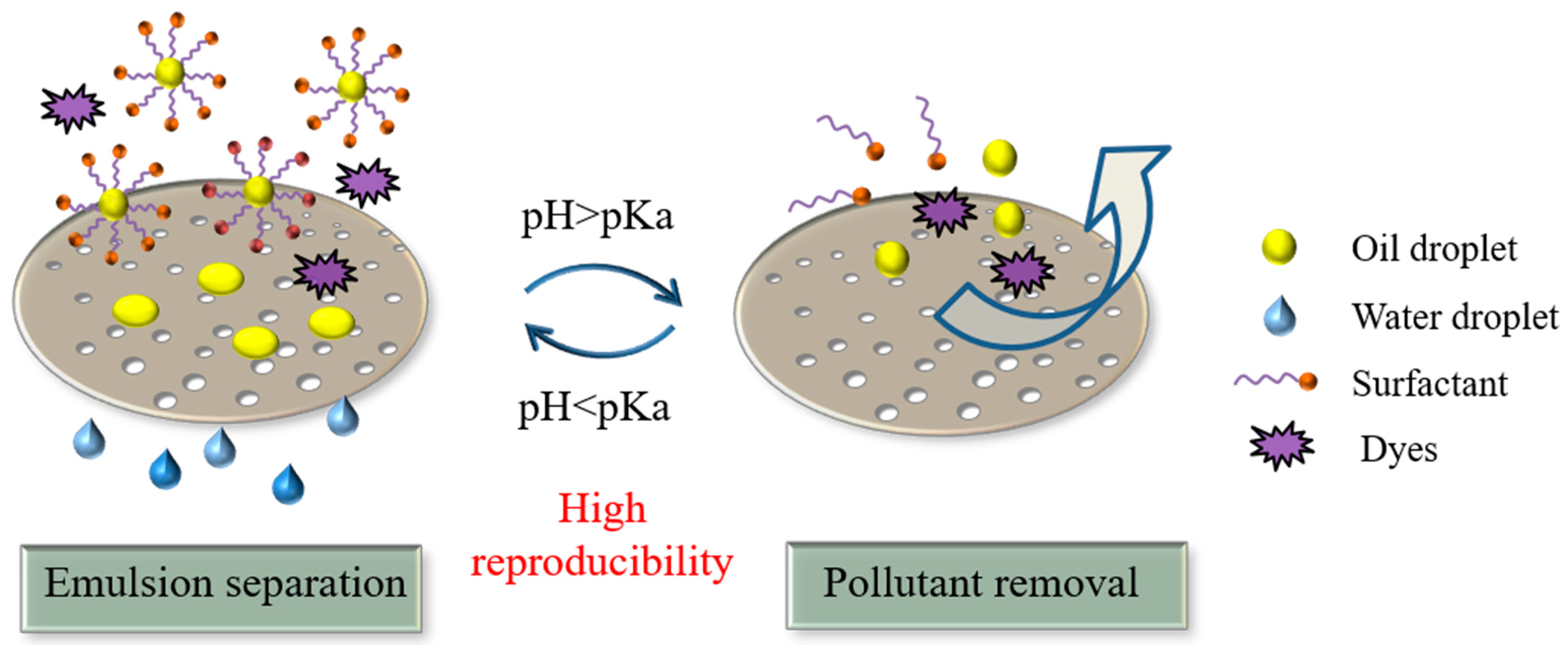 Membranes 11 00193 g001 Membranes 11 00193 g001