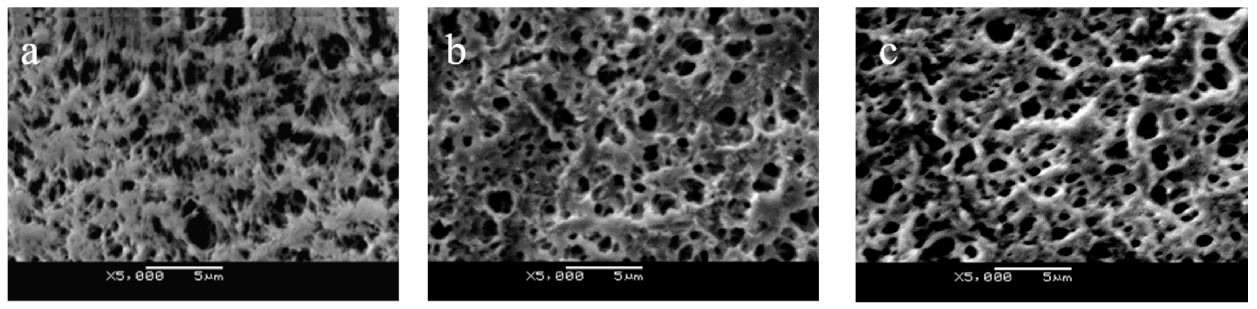 Membranes 11 00193 g002 Membranes 11 00193 g002