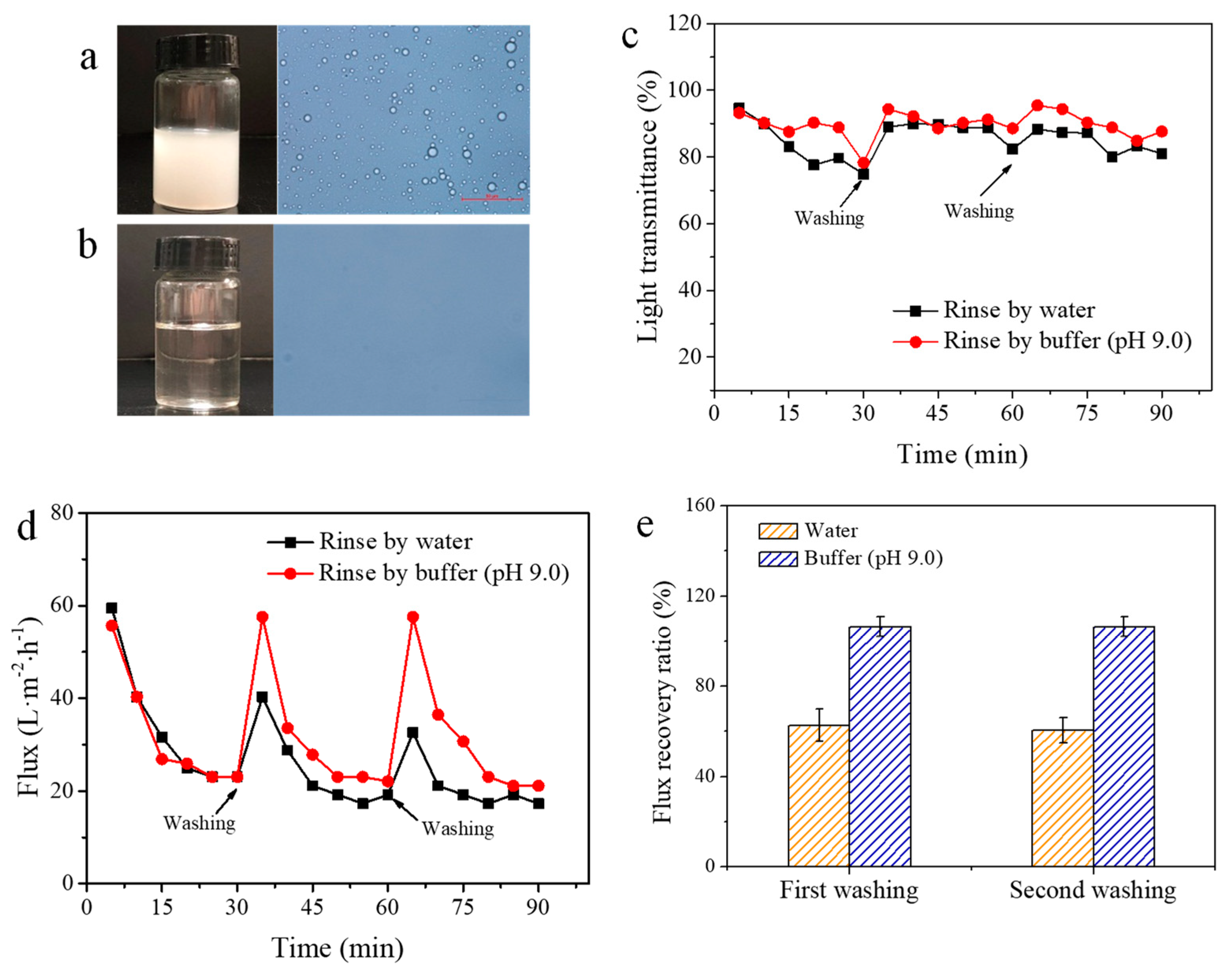Membranes 11 00193 g004 Membranes 11 00193 g004