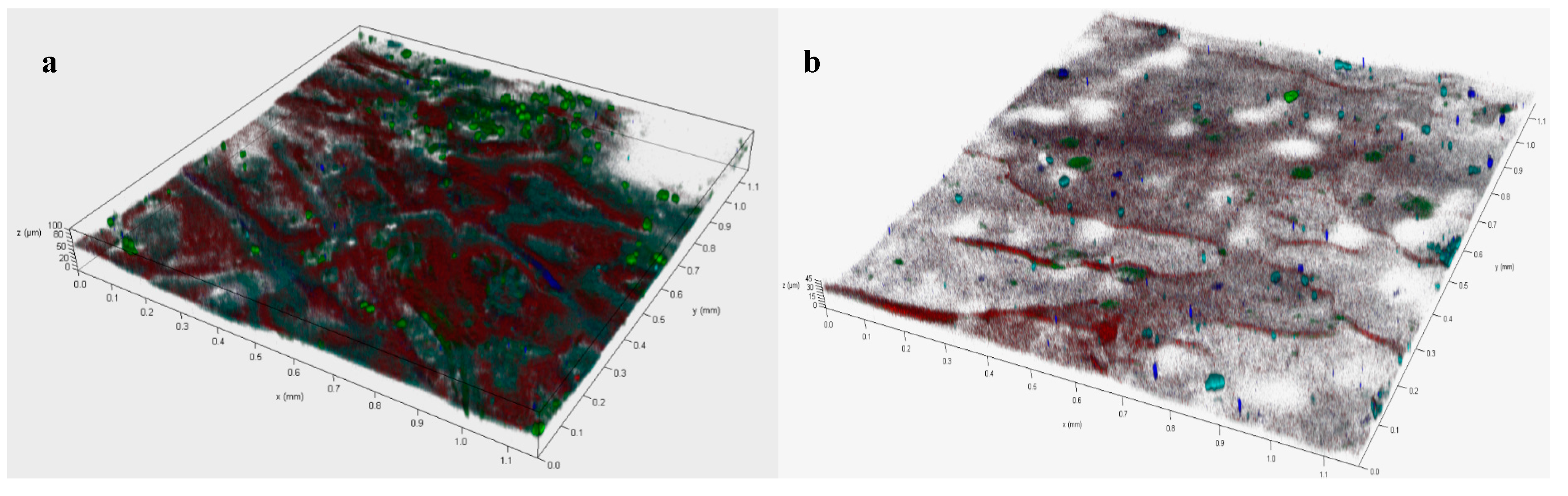 Membranes 11 00203 g004
