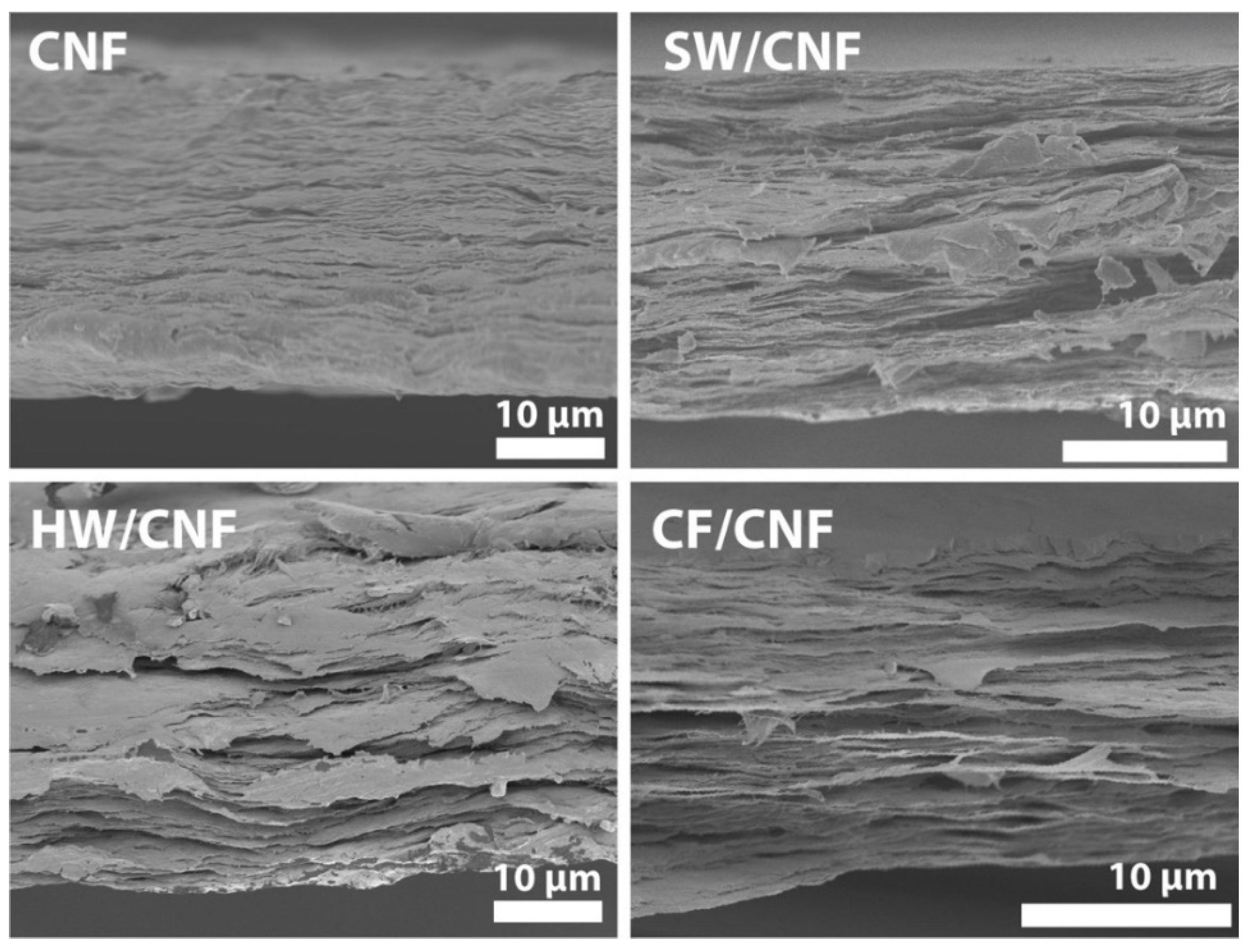 Membranes 11 00204 g005 Membranes 11 00204 g005