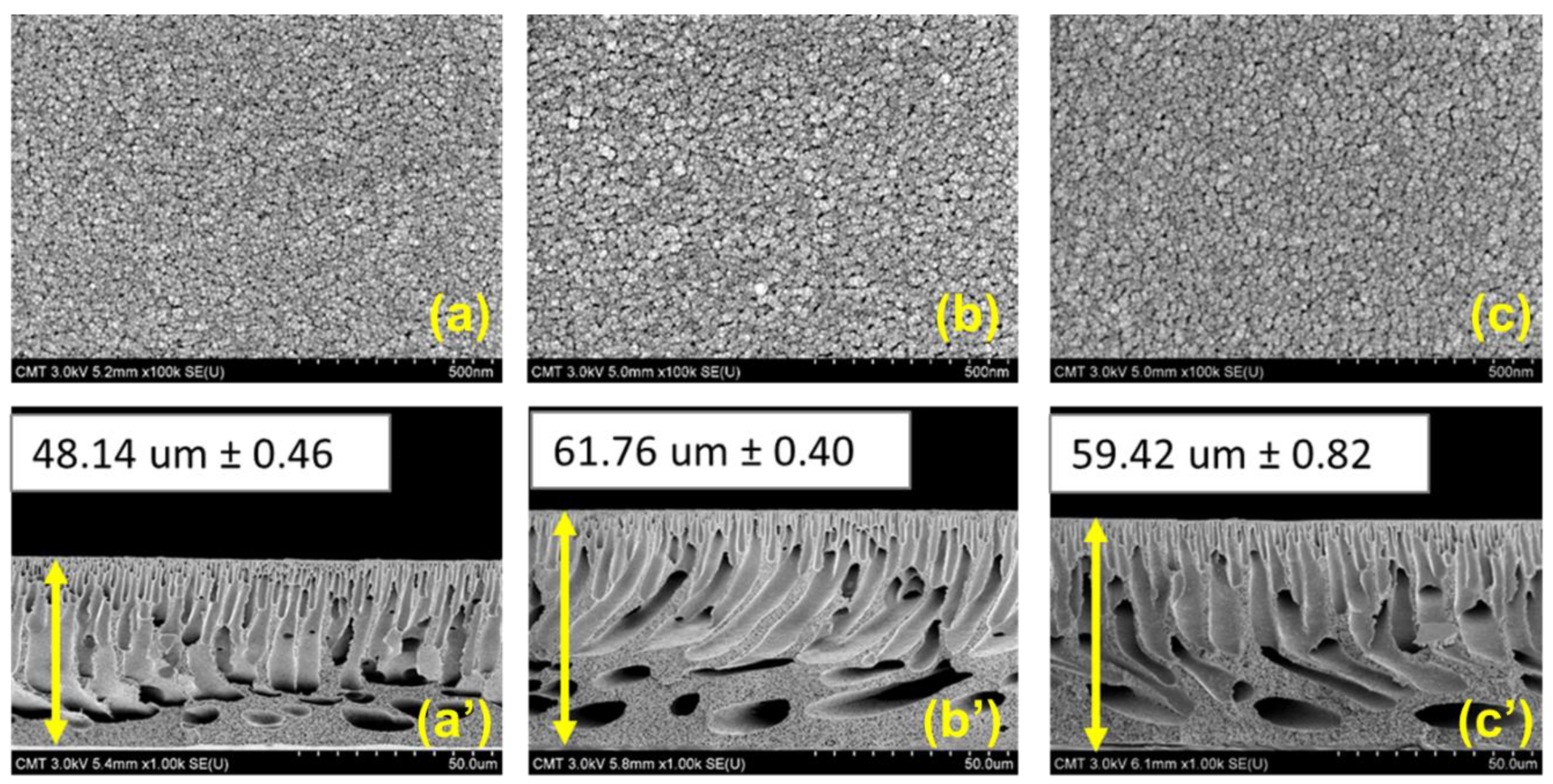 Membranes 11 00216 g004 Membranes 11 00216 g004