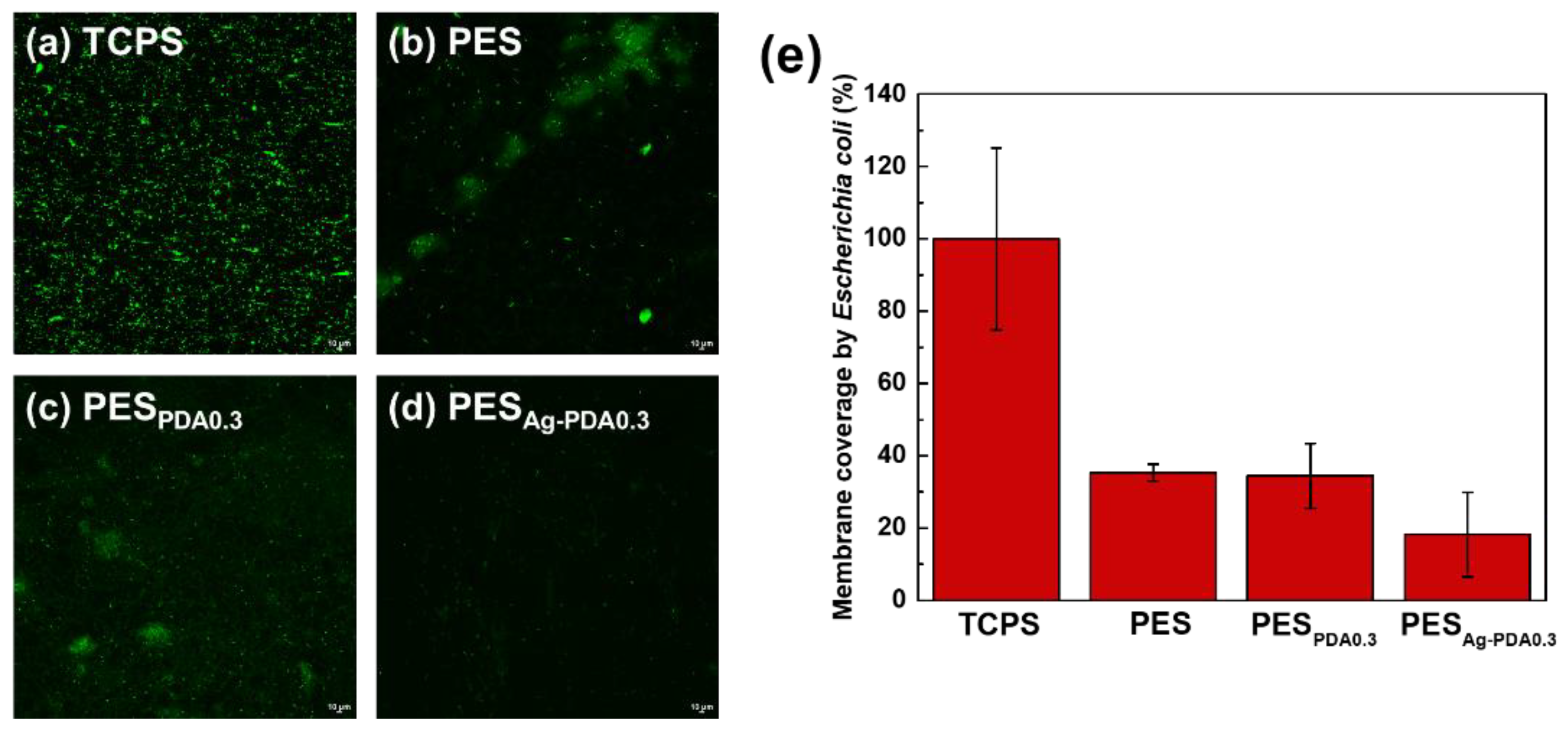 Membranes 11 00216 g010 Membranes 11 00216 g010