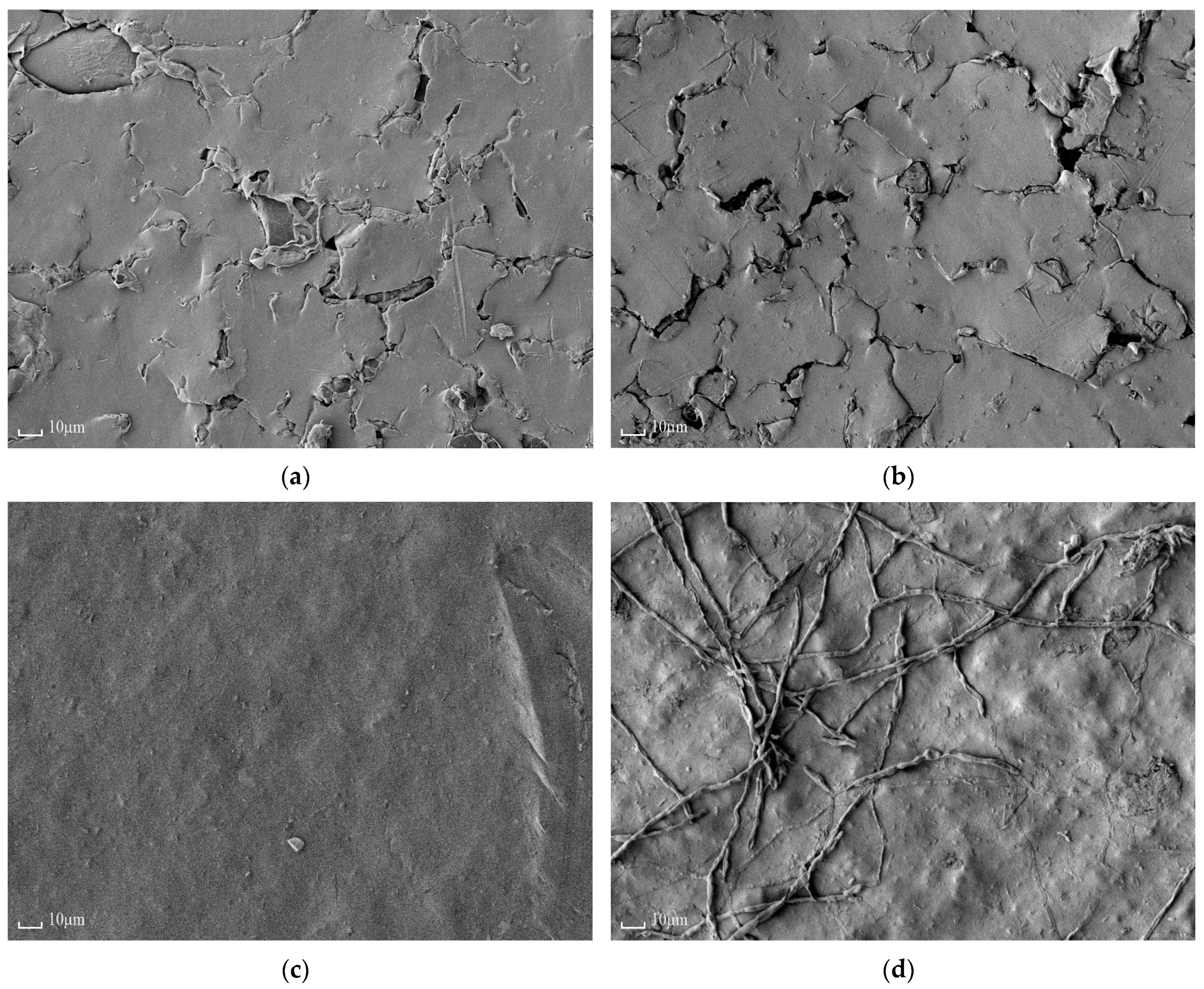 Membranes 11 00227 g008 Membranes 11 00227 g008