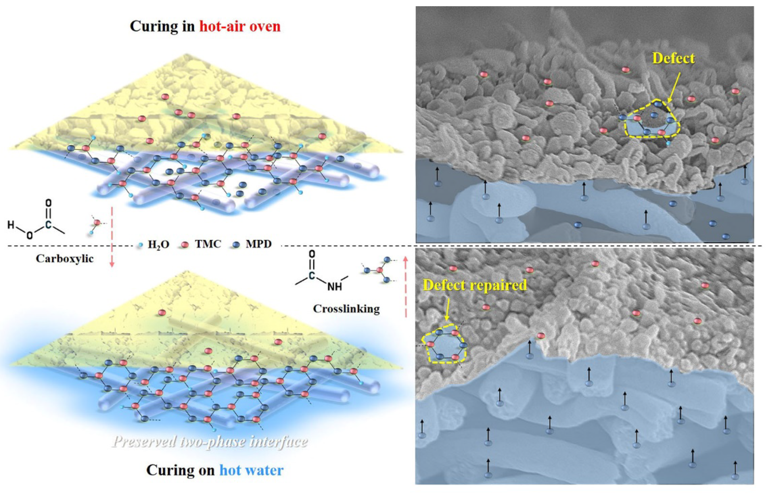 https://www.mdpi.com/membranes/membranes-11-00237/article_deploy/html/images/membranes-11-00237-g011.png