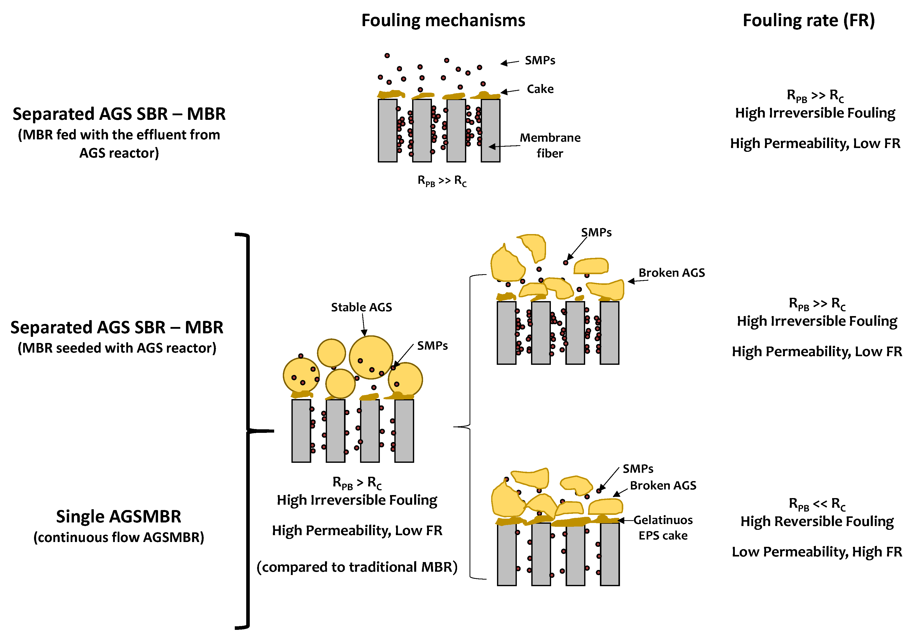 Membranes 11 00261 g003