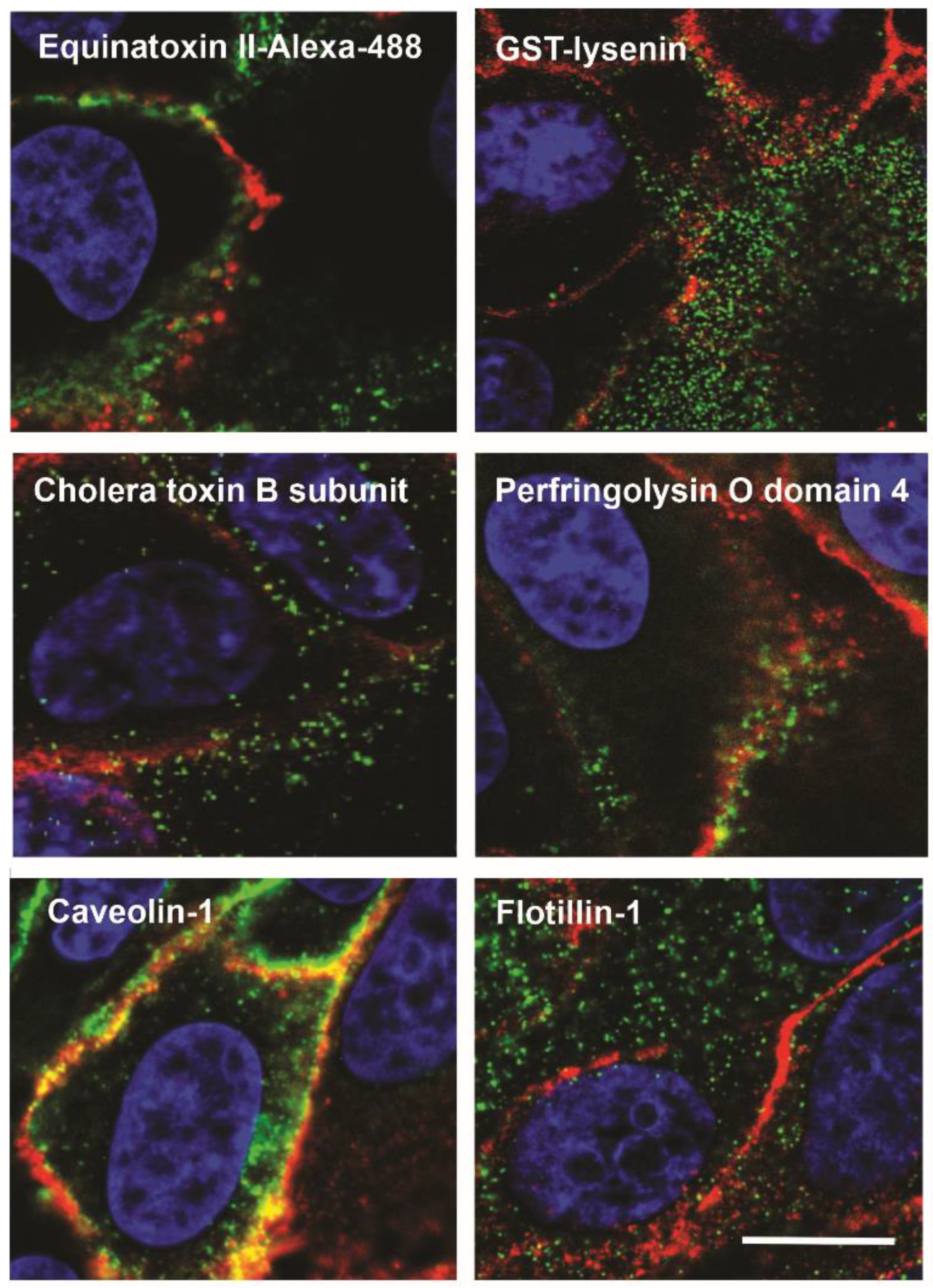 Membranes 11 00264 g002 Membranes 11 00264 g002