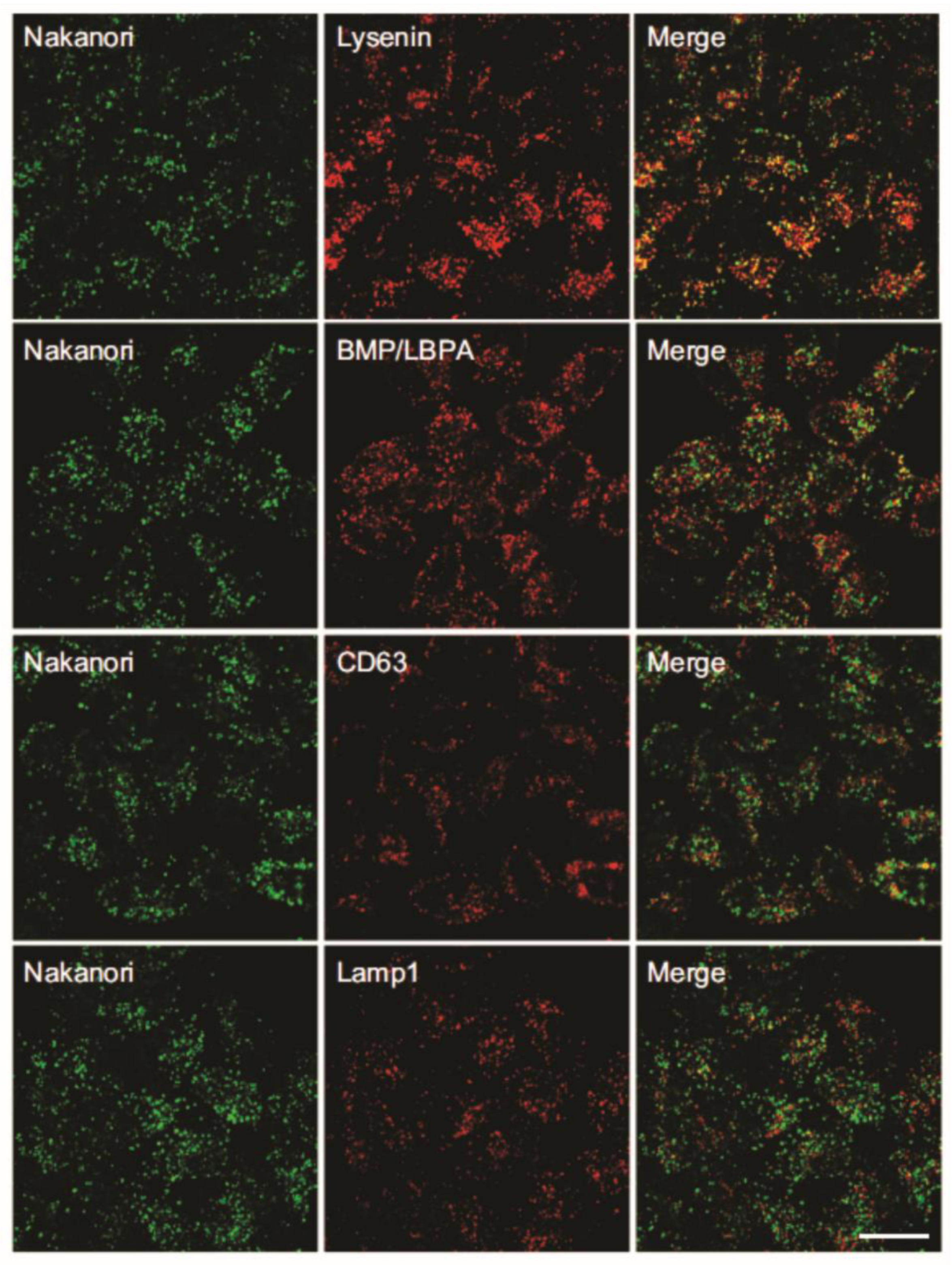 Membranes 11 00264 g004 Membranes 11 00264 g004