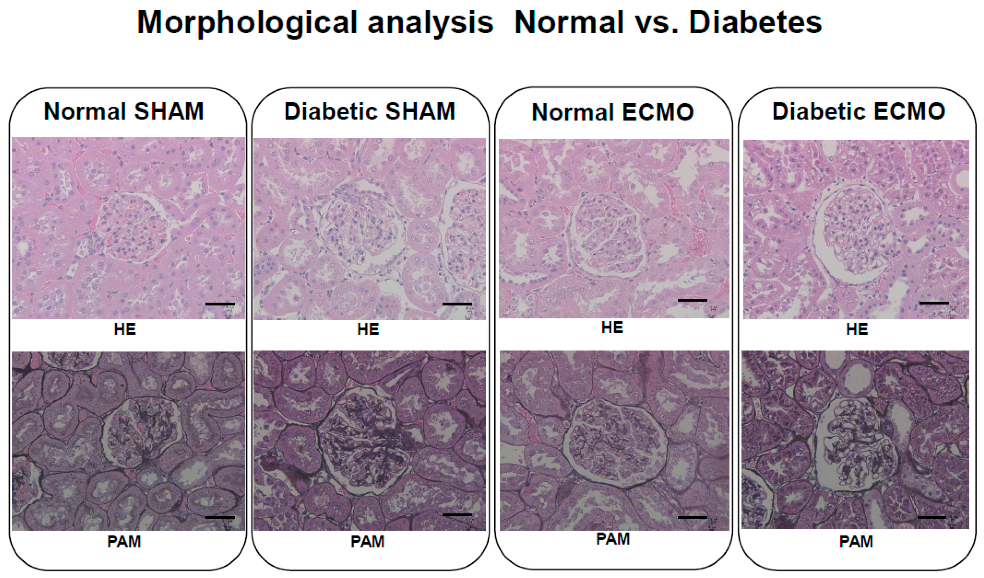 Membranes 11 00283 g005