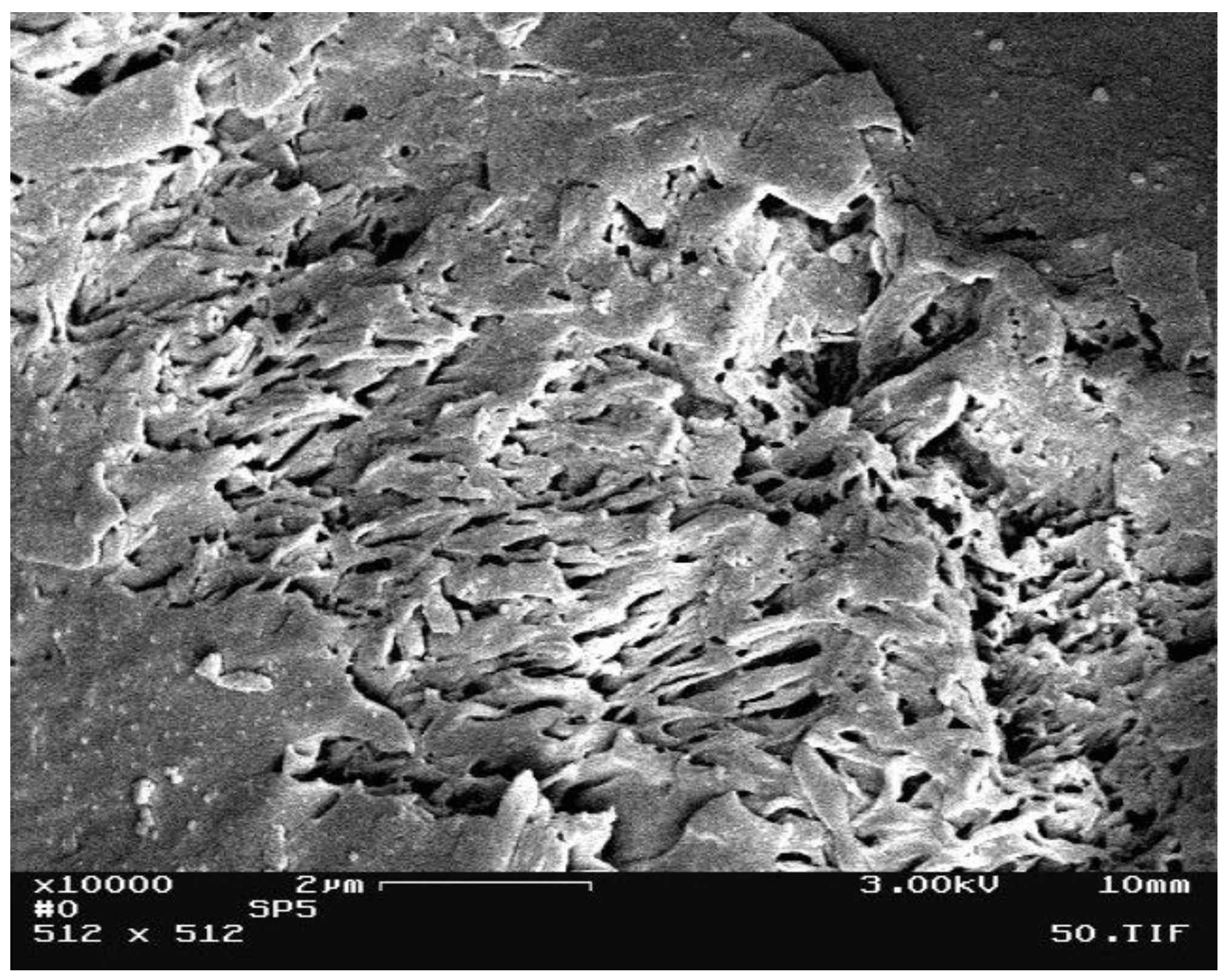 Membranes | Free Full-Text | New Preparation Methods for Pore Formation ...