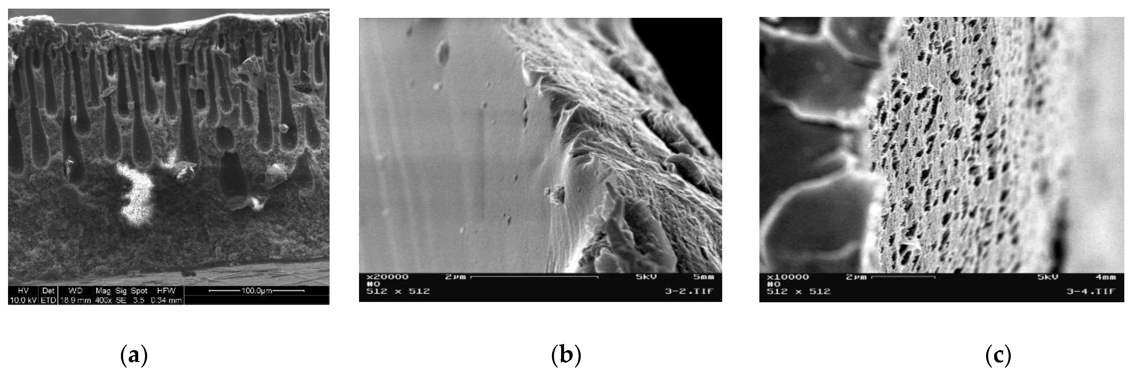 AFM images of the fabricated membranes: a PC, b PC-CS/GO-0.5, c