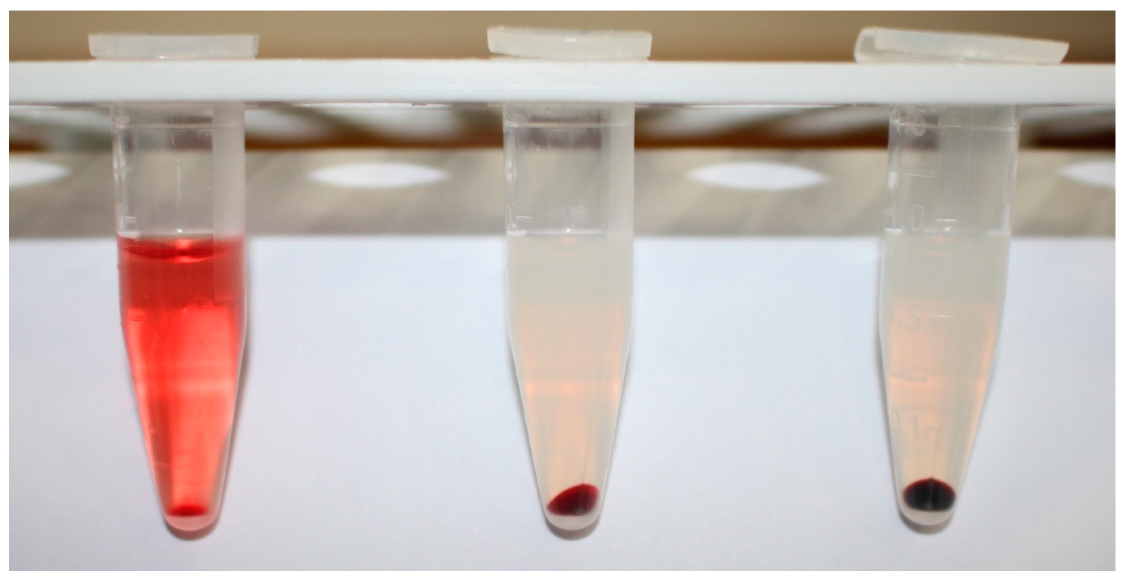 Membranes 11 00364 g001 Membranes 11 00364 g001