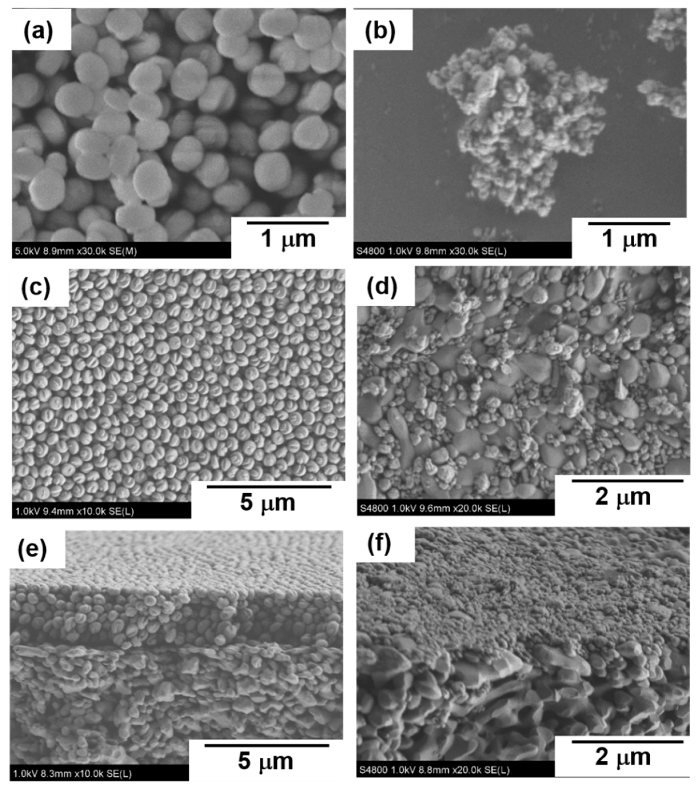 Membranes 11 00382 g003